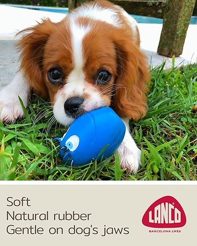 Miniatura 3 de Chihuahua - Pelotas chirriantes para perros  Extra pequeñas (2.5 pulgadas)  Cachorro de razas pequeñas  hinchables  Caucho natural  Cumple con los