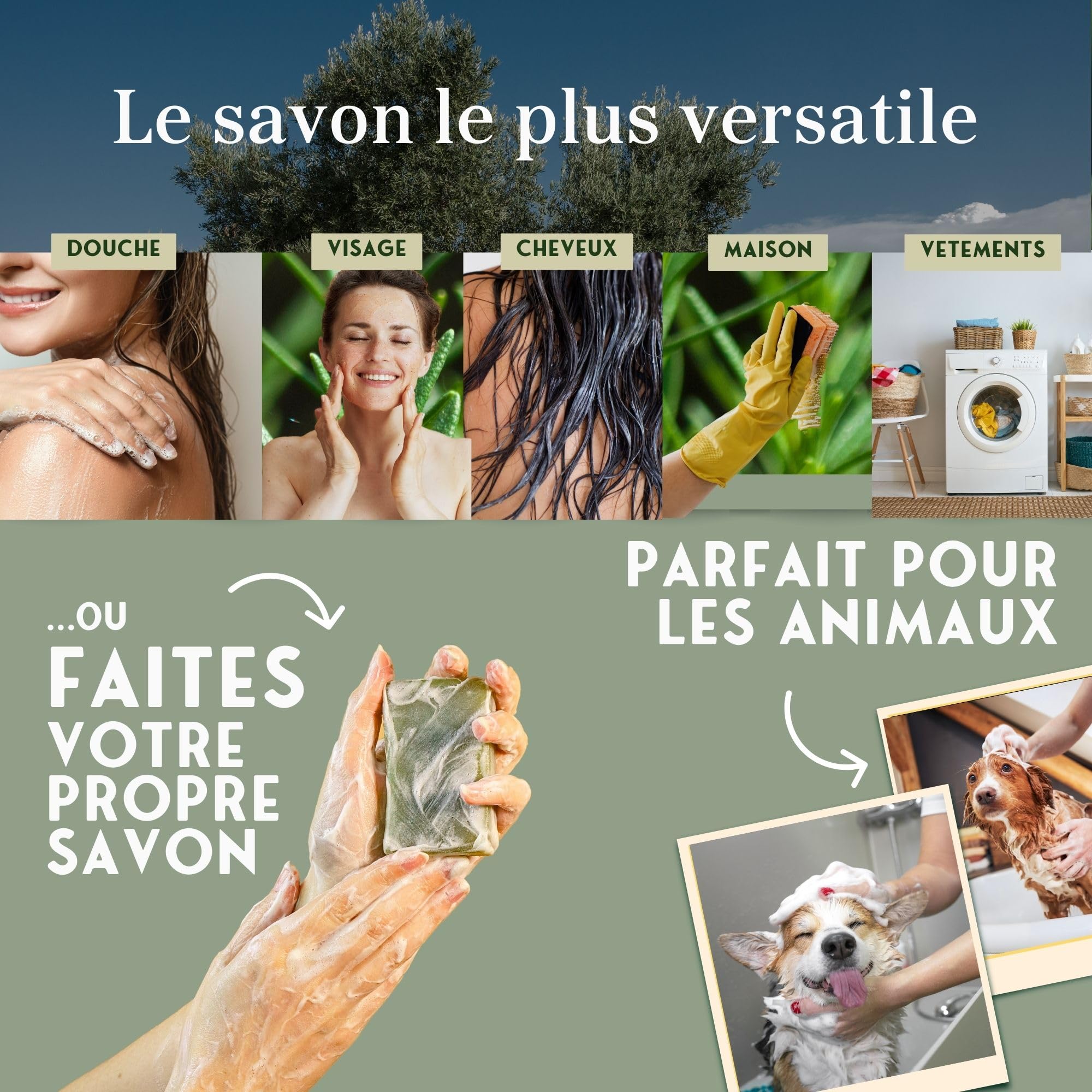 Savon Liquide Bio de Castille, Huile d'Olive, Multi-usage | Sans Parabènes/Silicones | Vegan, Écologique | Pour Peaux Sensibles, 2000 ml