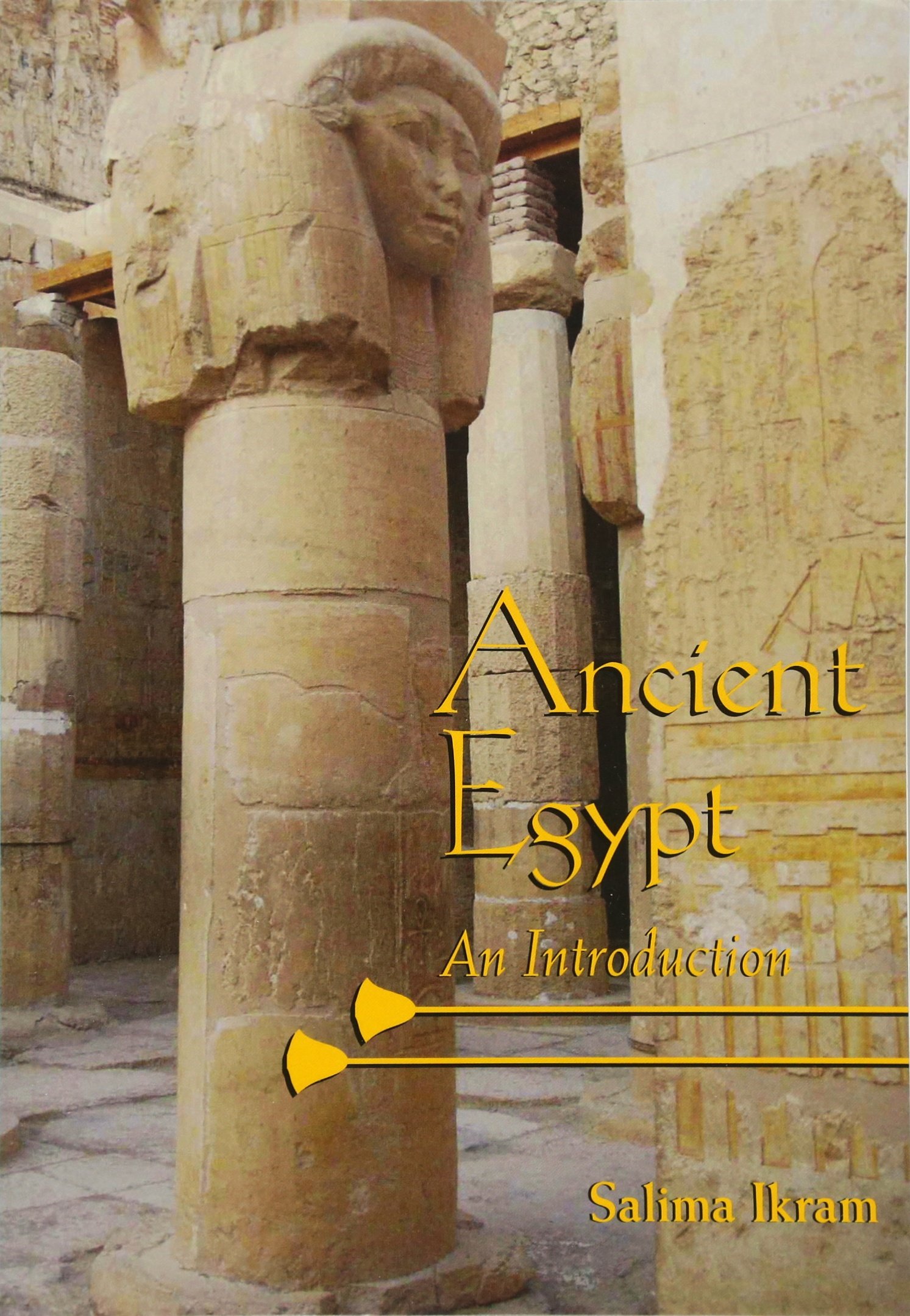 Ancient Egypt: An Introduction: Amazon.co.uk: Ikram, Salima ...