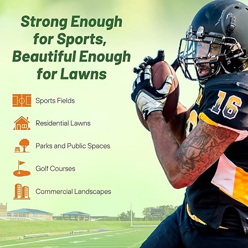 Miniatura 4 de Outsidepride Semilla de césped y césped tolerante a la sequía de 2 lb de Mónaco (de Riviera) Bermuda