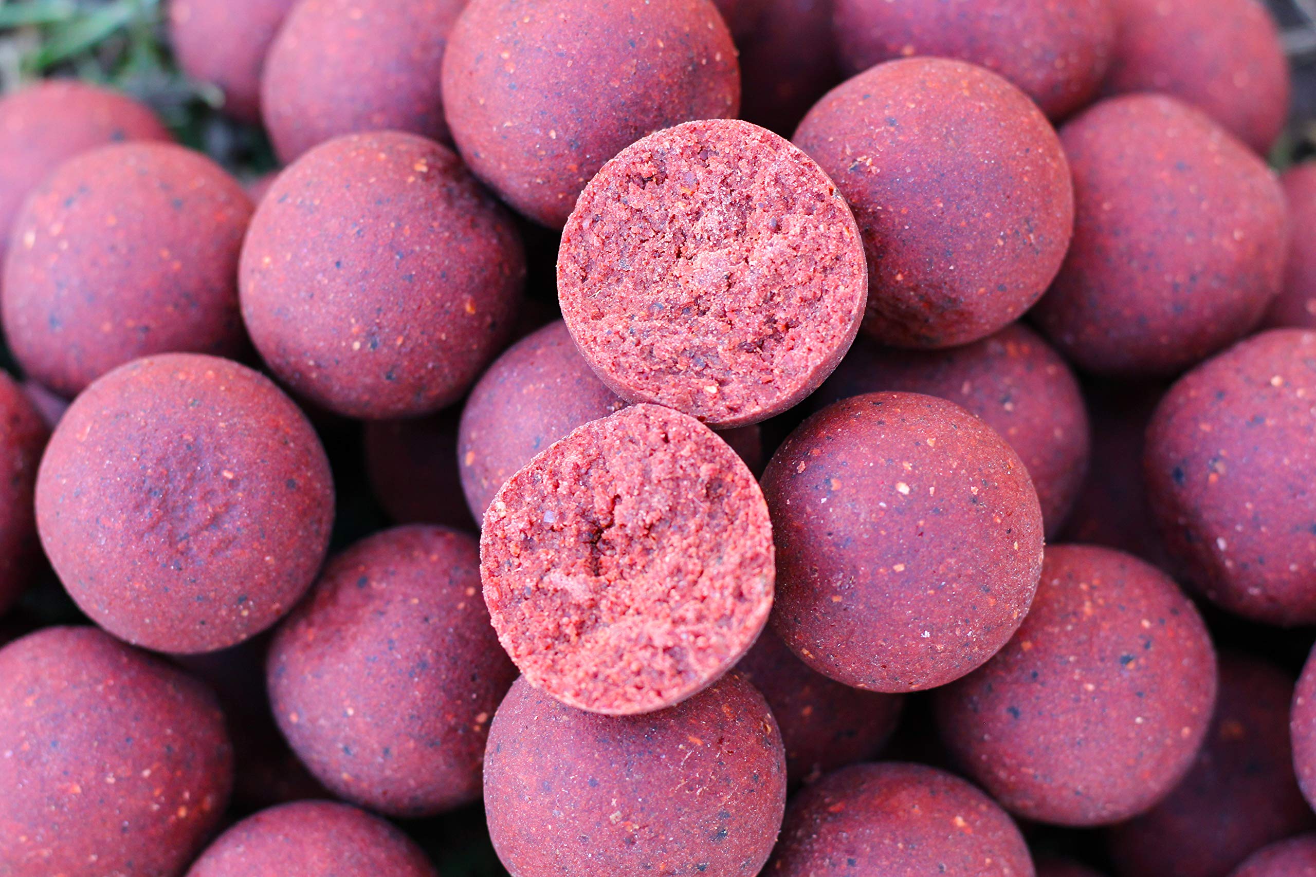 3kg Premium Boilies 16 mm M1(Spice) Futter Karpfen Köder Angeln