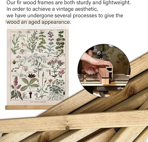 Miniatura 277 de XIAOAIKA Póster de botánica vintage con marco de madera, tabla de plantas venenosas antiguas, arte educativo botánico con especies peligrosas, 1