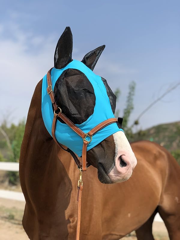 Máscara contra moscas para cavalos TGW RIDING em tecido elástico com proteção para olhos e orelhas Pacific Blue, M