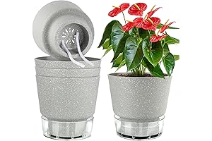 6 Inch Self Watering Pots for Indoor Plants