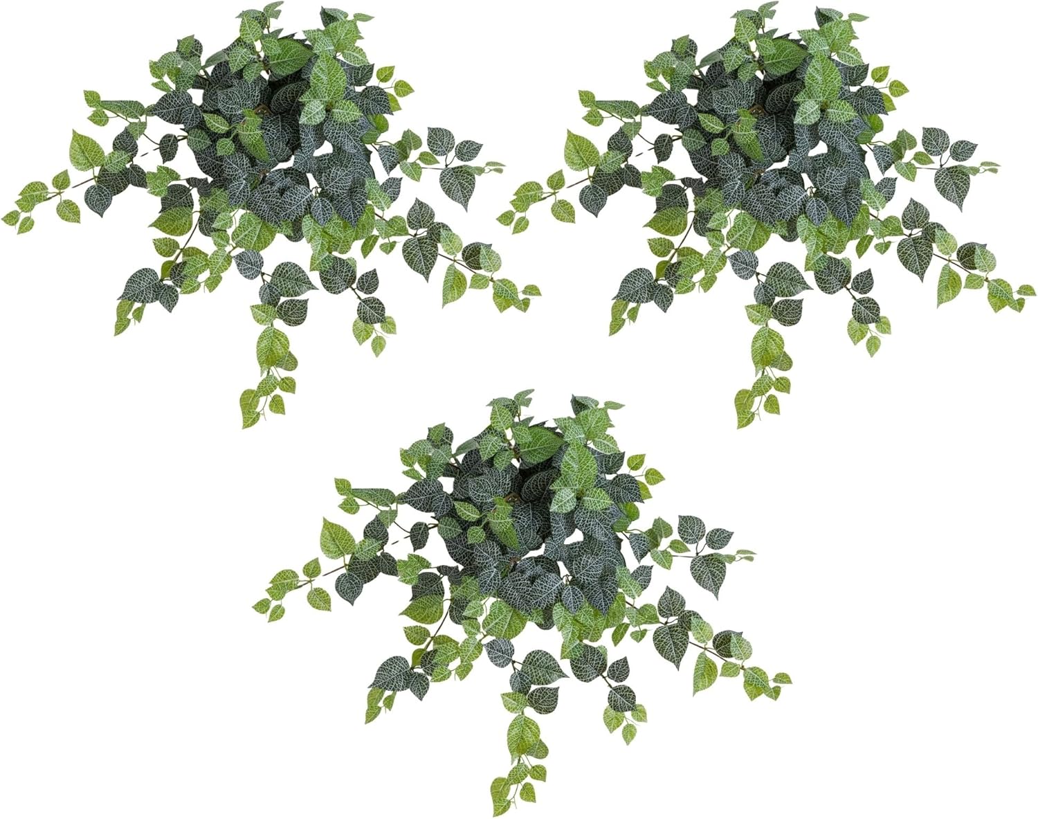 Nearly Natural 24in. UV Resistant Artificial Fittonia Hanging Plant (Indoor/Outdoor) - Set of 3