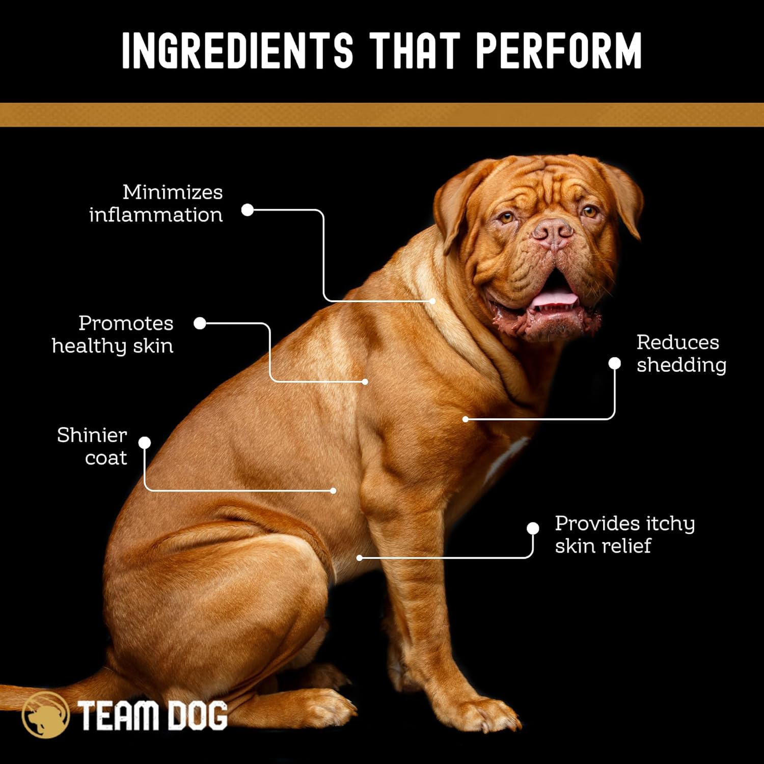 TEAM DOG Omega Skin and Coat Chews for Dogs | Wild Alaskan Salmon Oil for Dogs Skin and Coat Supplement | Allergy & Itchy Skin Relief for Dog Shedding | for a Glowing Coat & Healthy Skin | 120 Count