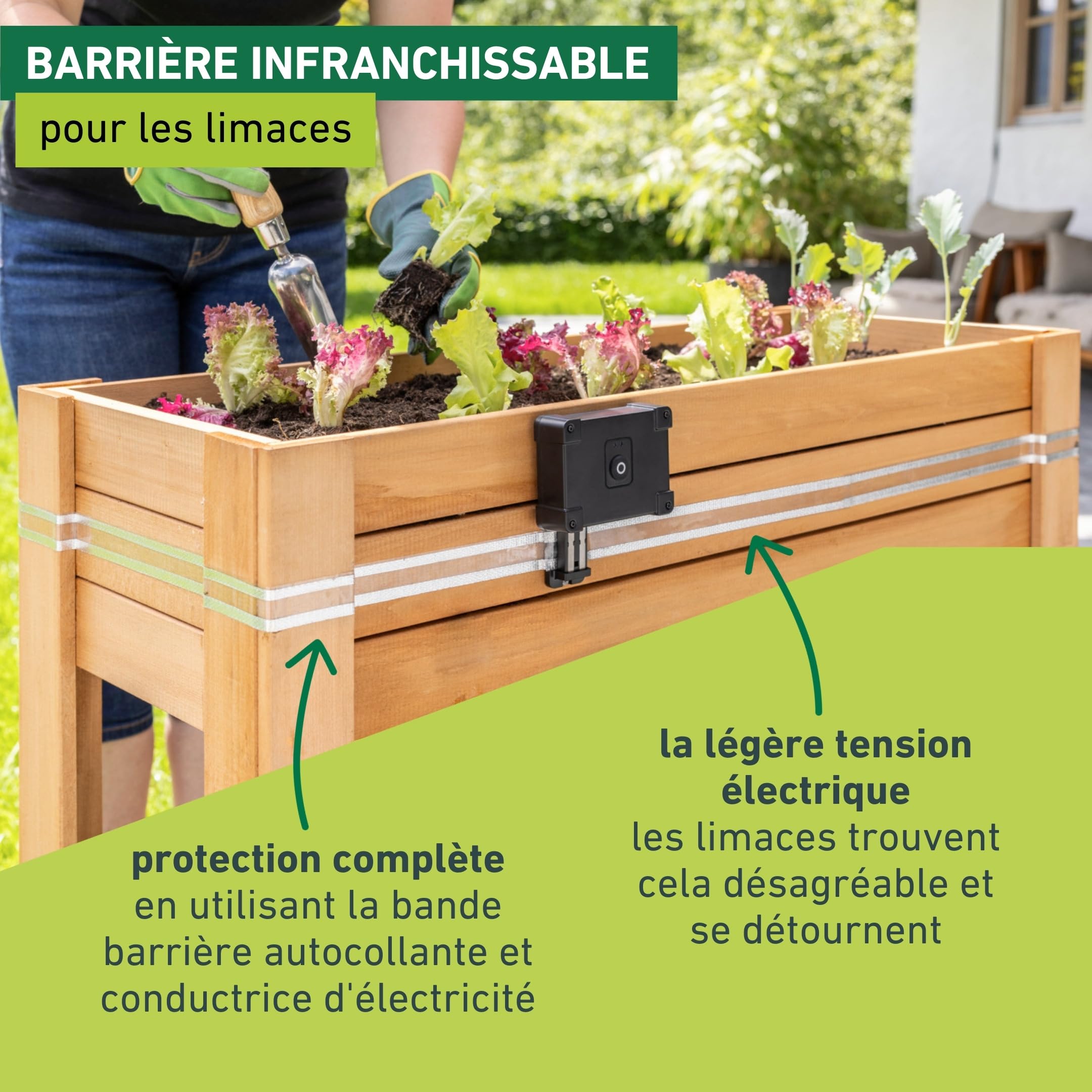 Windhager dissuasif électrique Contre Les escargots e-Fence - 10 m - Protection Contre Les limaces, barrière Anti limace, Bande à escargots électrique - Inoffensif pour l'homme et l'animal