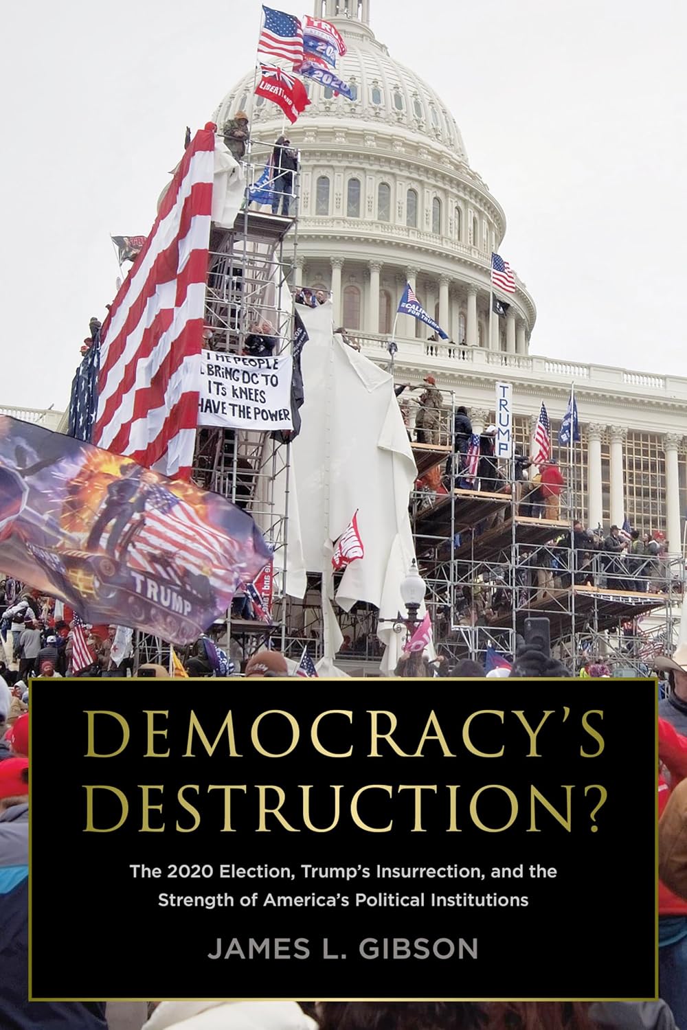 Democracy’s Destruction? Changing Perceptions of the Supreme Court, the Presidency, and the Senate after the 2020 Election      Kindle Edition