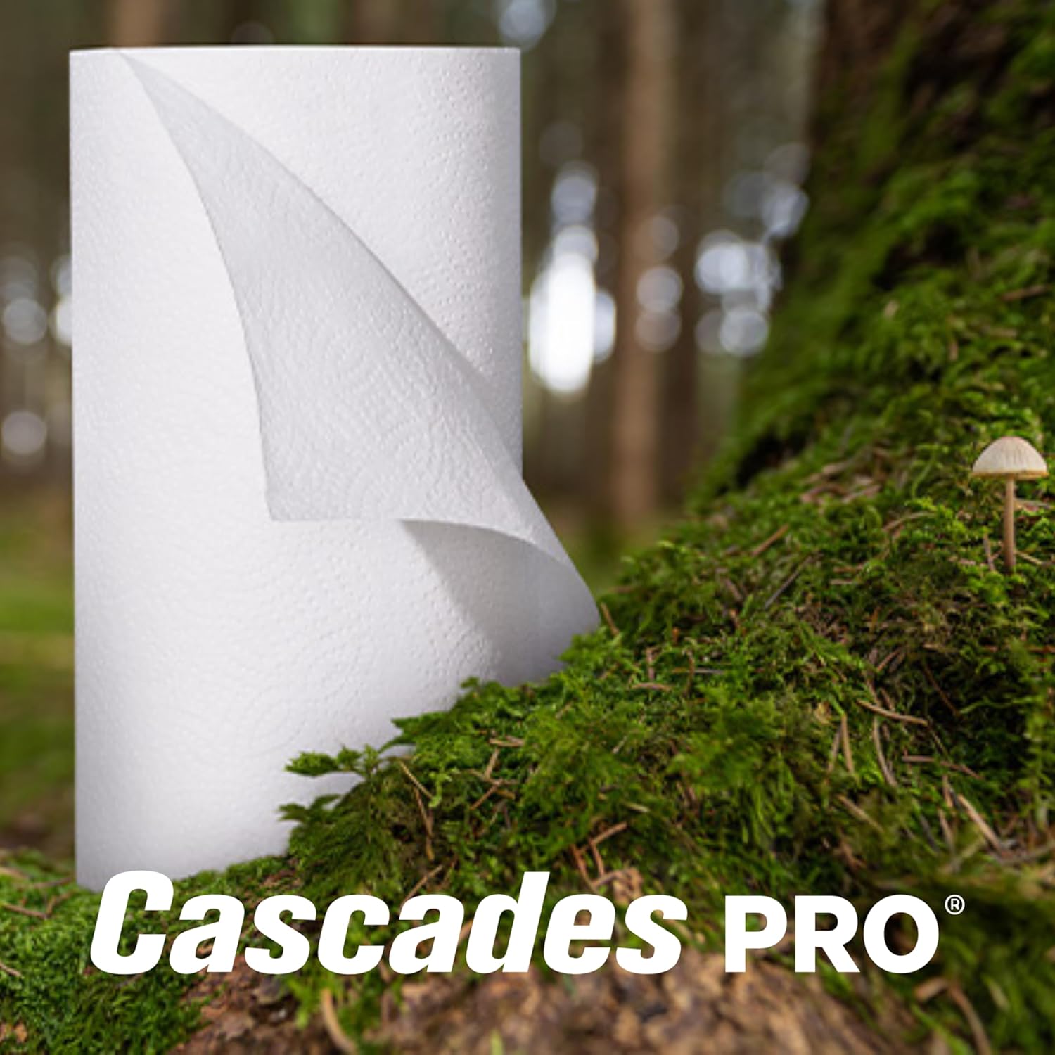 Cascades PRO Select Kitchen Roll Towel - Strong and Absorbent 2-Ply Paper Towels for Kitchens, Breakrooms, Schools, Offices - Recycled, Compostable - 250 Sheets/Roll, 12 Rolls/Box -K250 - White