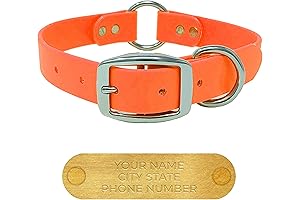 Small Orange Biothane Personalized Dog Collar with Custom Engraved Name Plate