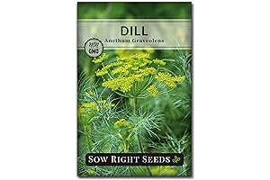 Sow Right Seeds Dill Plant Seeds - Non-GMO Dill Seed Packet with...