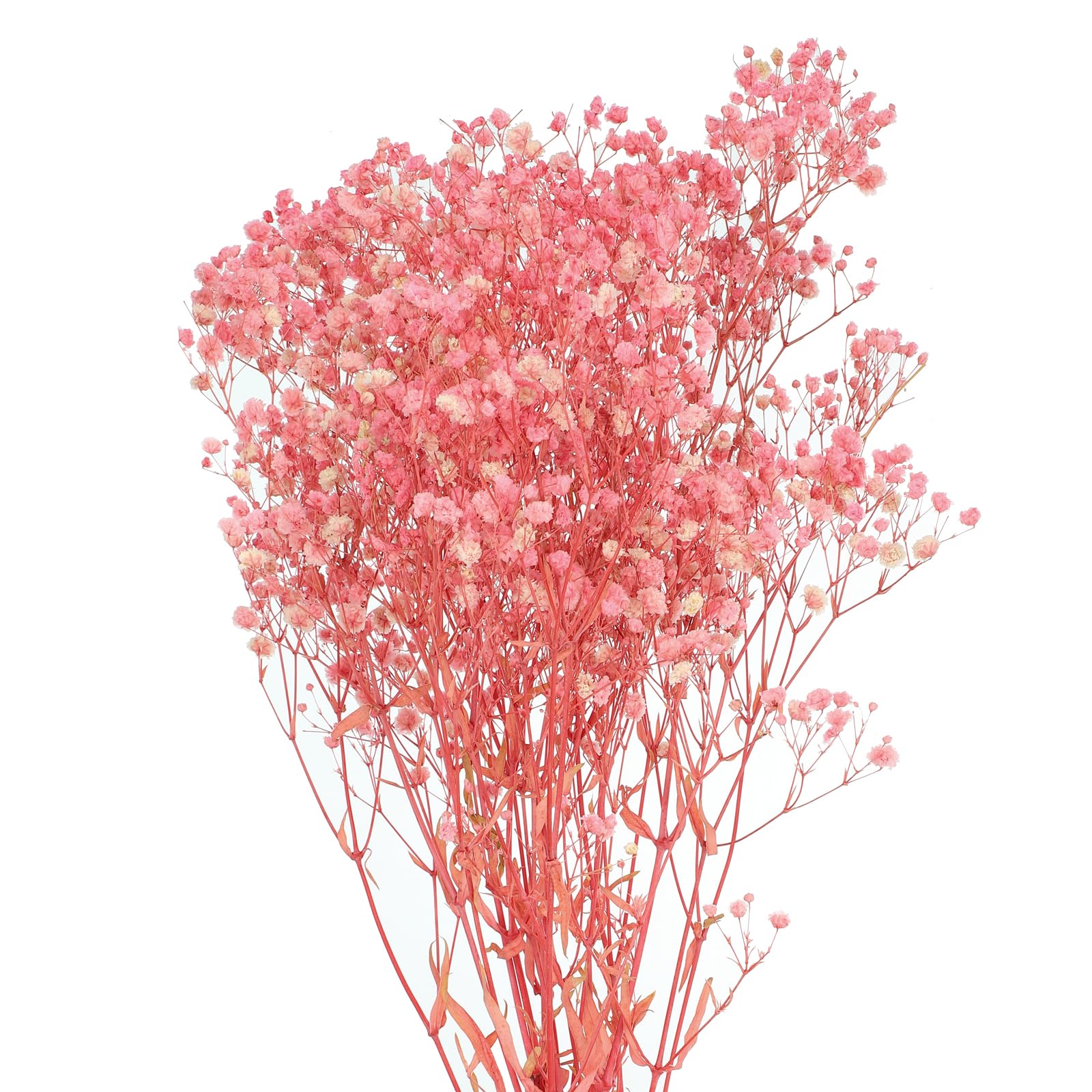 QUARKZMAN 2 Pcs Fleurs Artificielles 17 Pouces Gypsophila Rose Clair | Séchées De Gypsophile, Branches Naturelles De Gypsophile Pour Décoration De Mariage Fête Maison