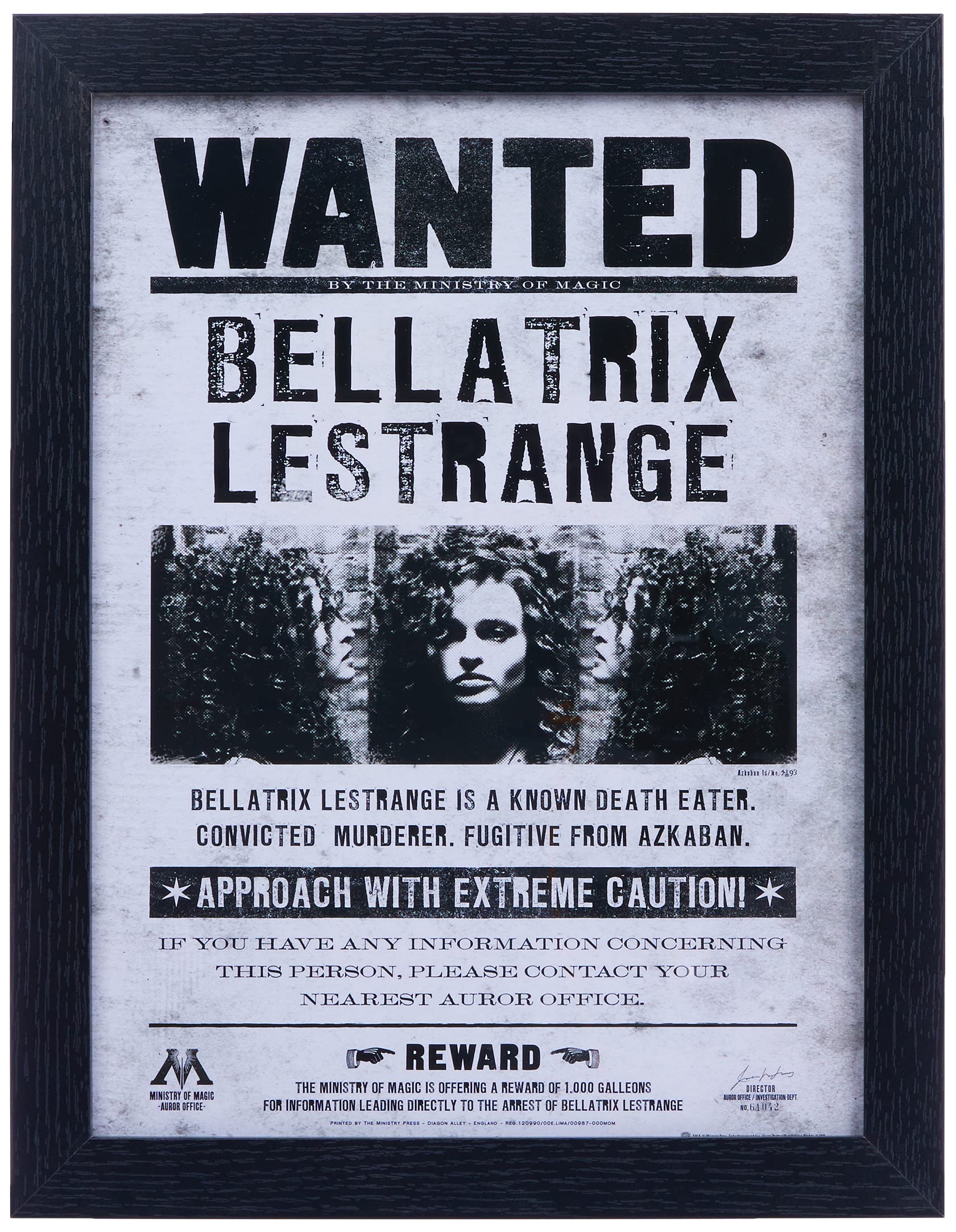 Harry Potter FP10612P-PL Framed Memorabilia, Bellatrix Wanted, 30 x 40cm