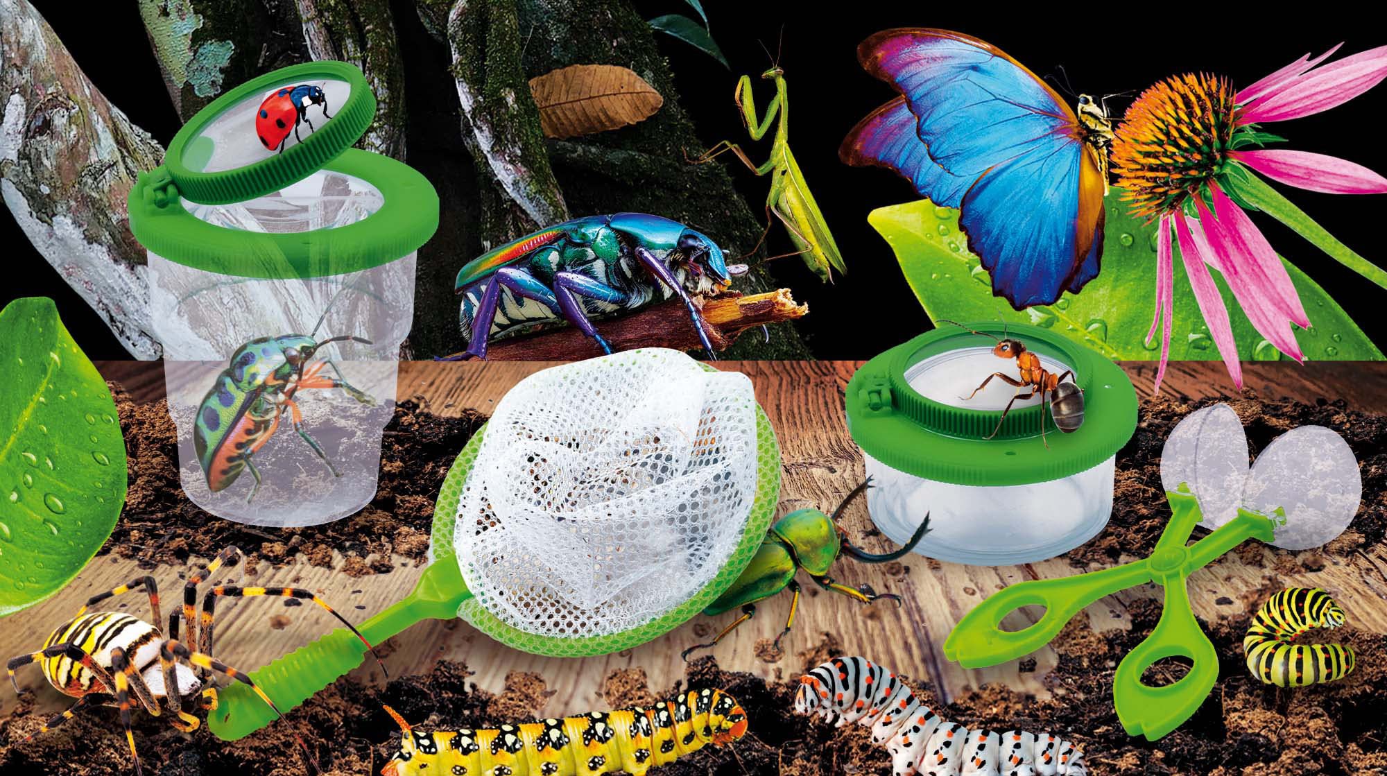 Génius Science - jeu scientifique - les insectes - LISCIANI, Centre