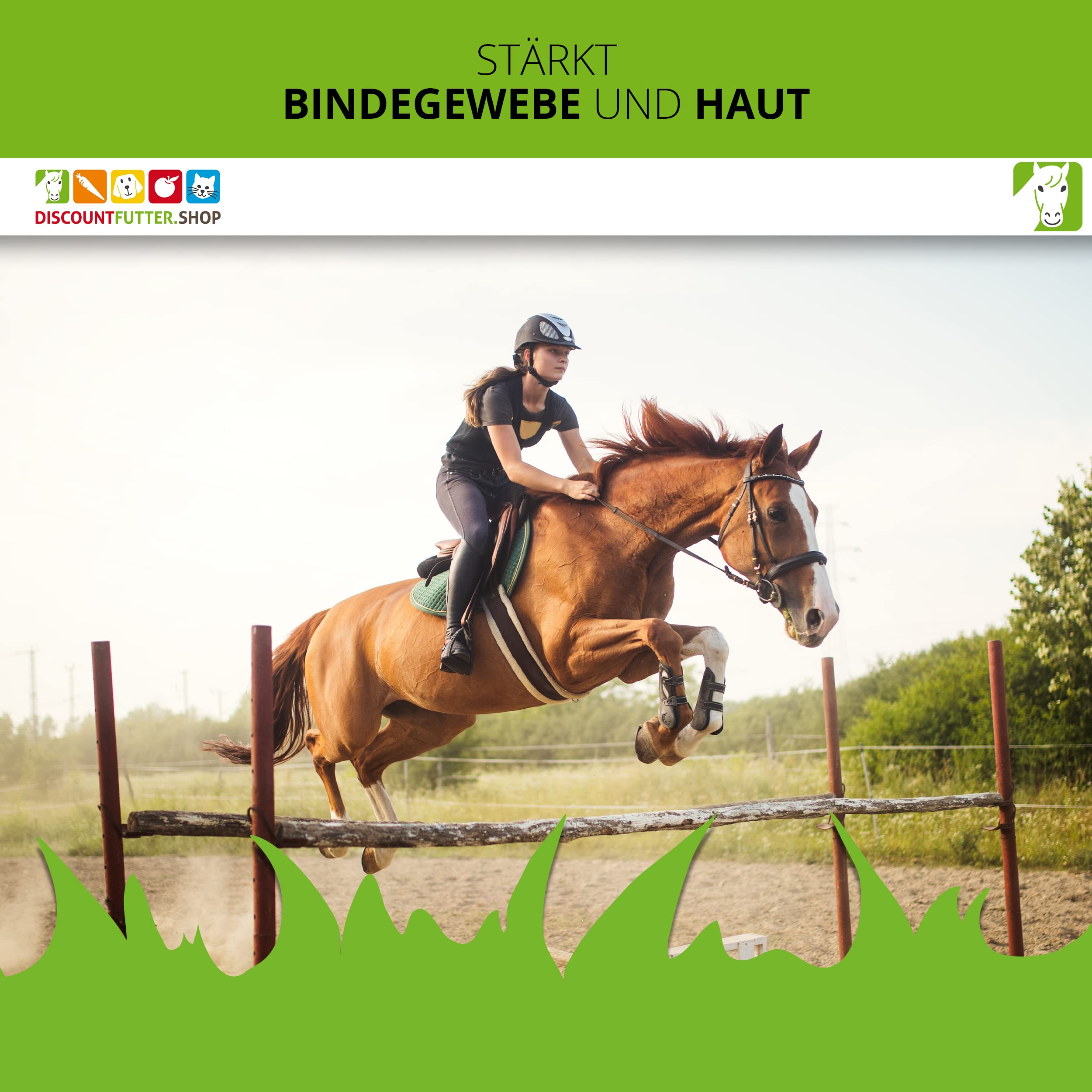 Kollagen 100 Pulver für Pferde | 1 kg Pulver | 100% reines Kollagenhydrolysat | Unterstützt Gelenkknorpel, Sehnen & Bänder | Vorbeugung von Arthrose | Höchste Reinheit