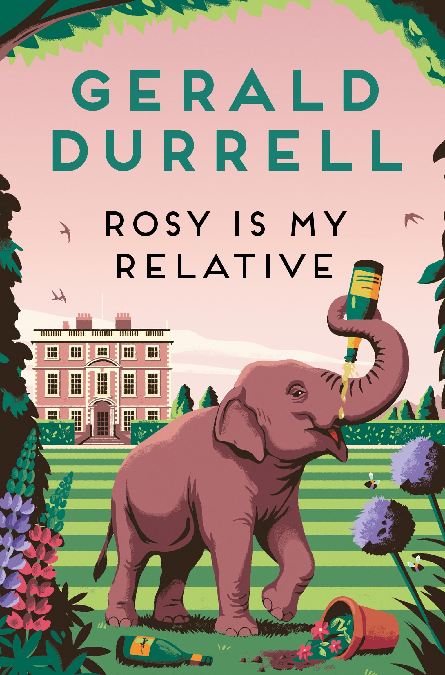 Rosy Is My Relative by Gerald Durrell PAPERBACK 9781035085262