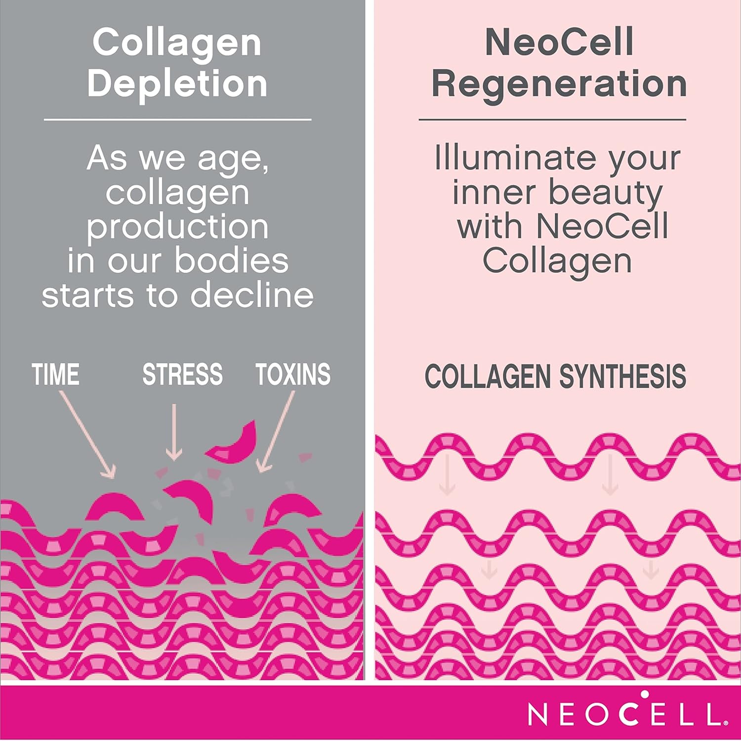 Neocell Super & Best Collagen Supplements - Image 12