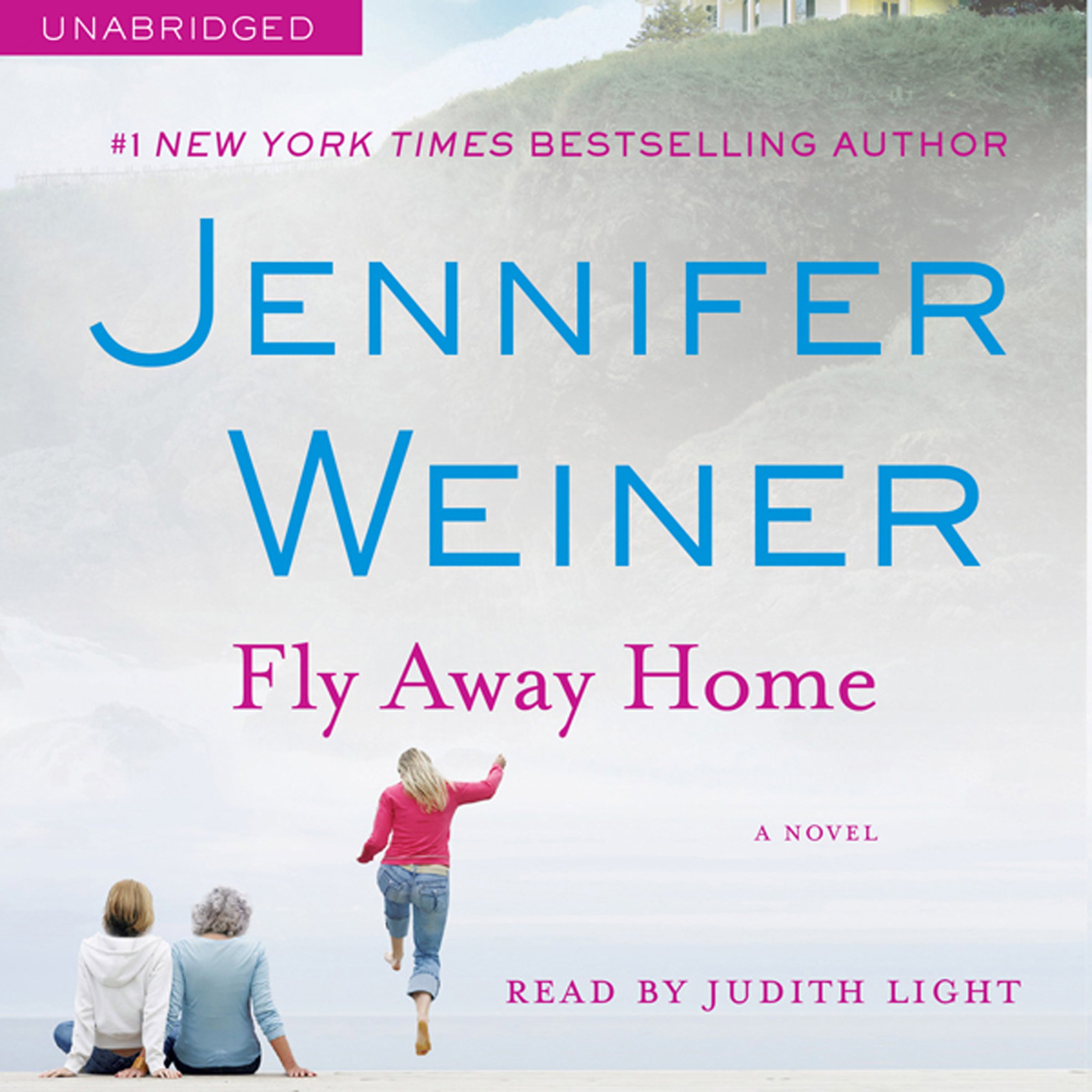 Cover art for Fly Away Home