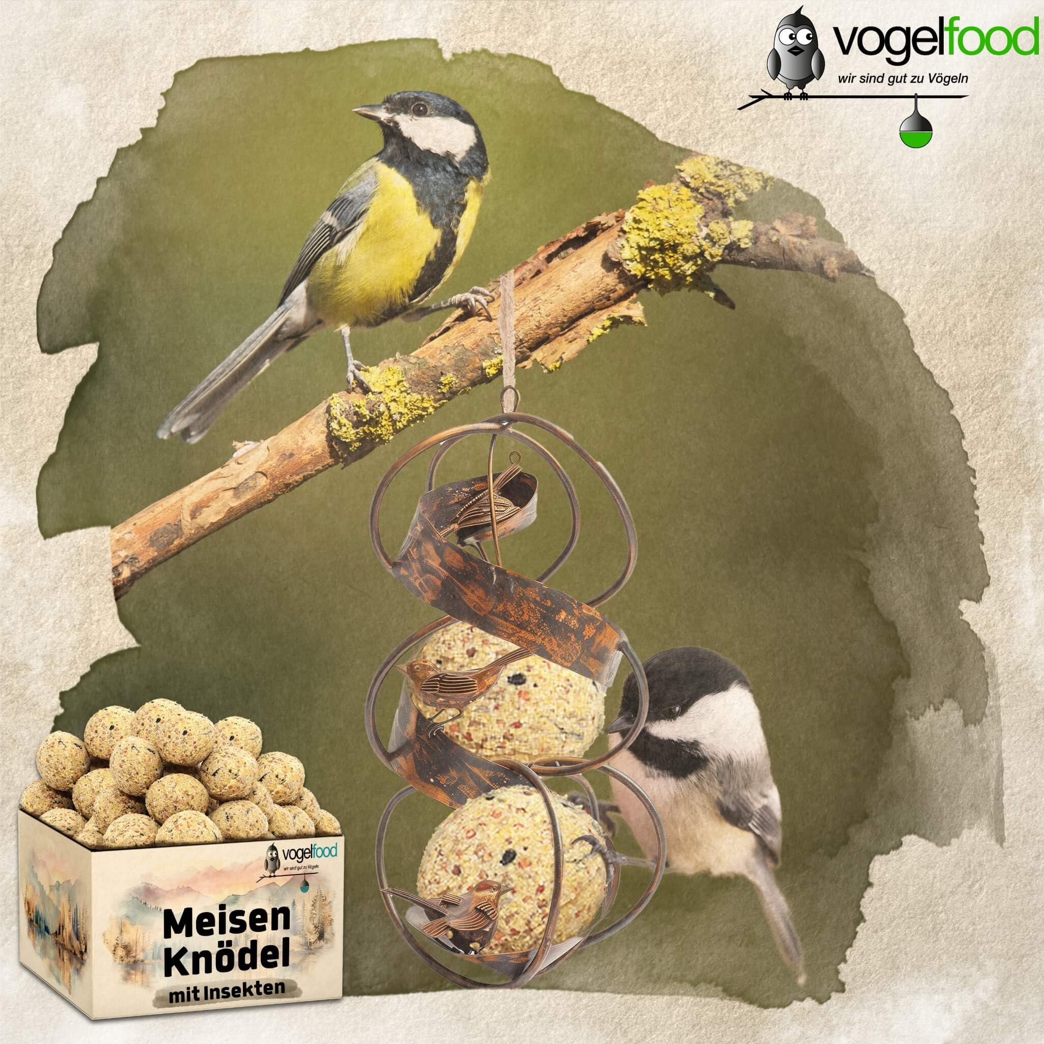 Vogelfood 200 x 90 g =18 kg Meisenknödel mit Insekten ohne Netz Vogelfutter 4 Jahreszeitenknödel Wildvogelfutter Ganzjahresfutter Fettfutter