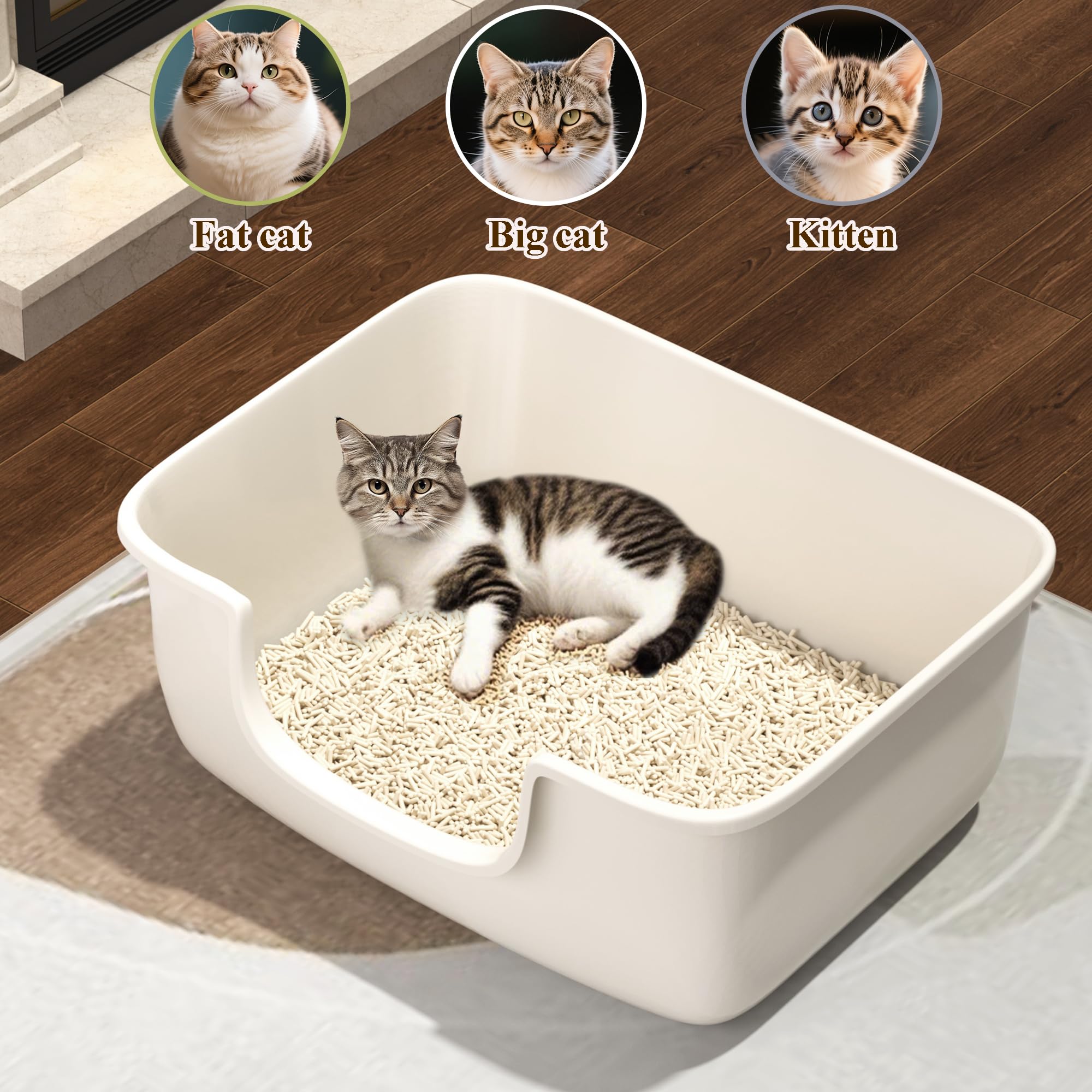 lettiera per gatti