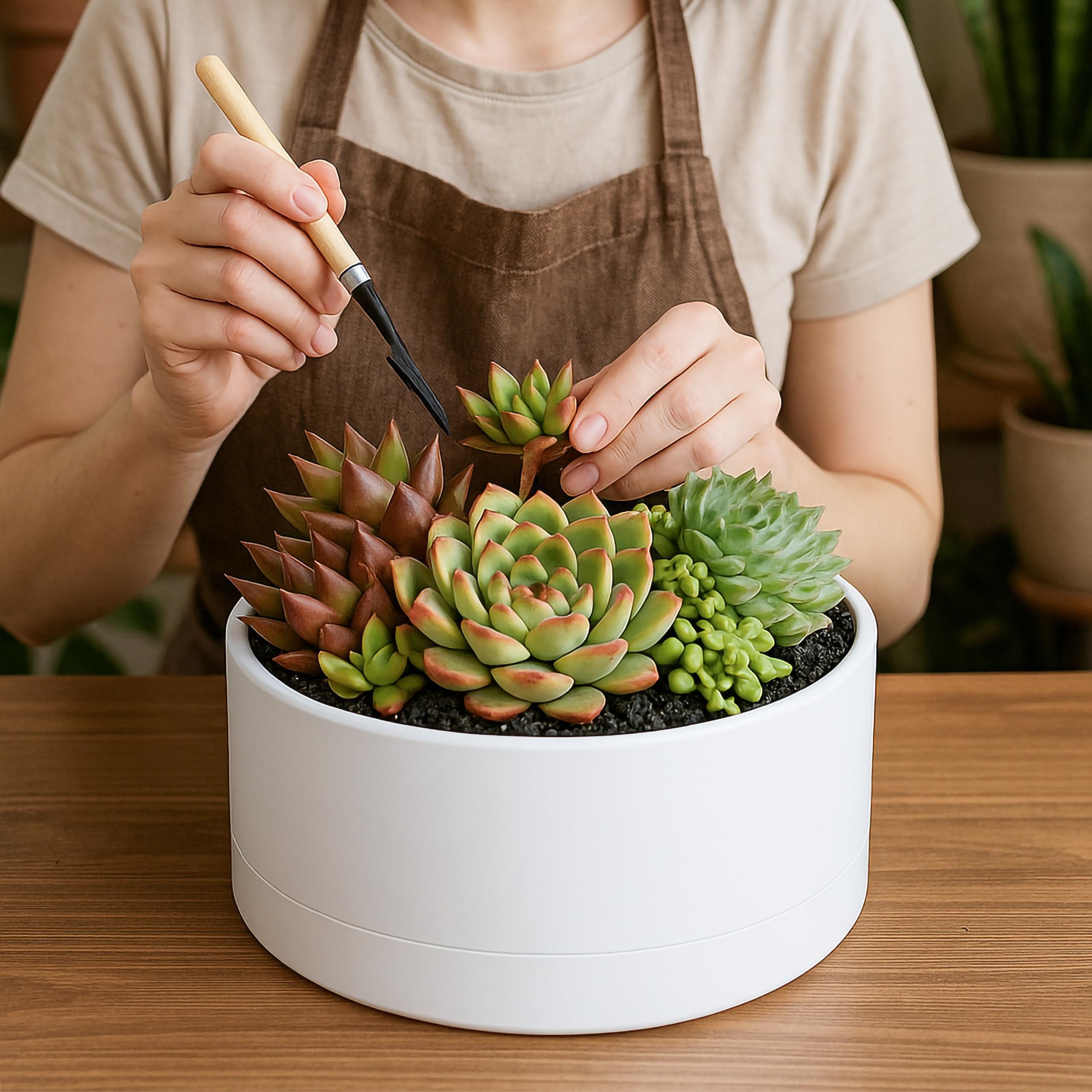 Amazon.co.jp: D'vine Dev 10インチ プラスチック 浅型プランター 大型