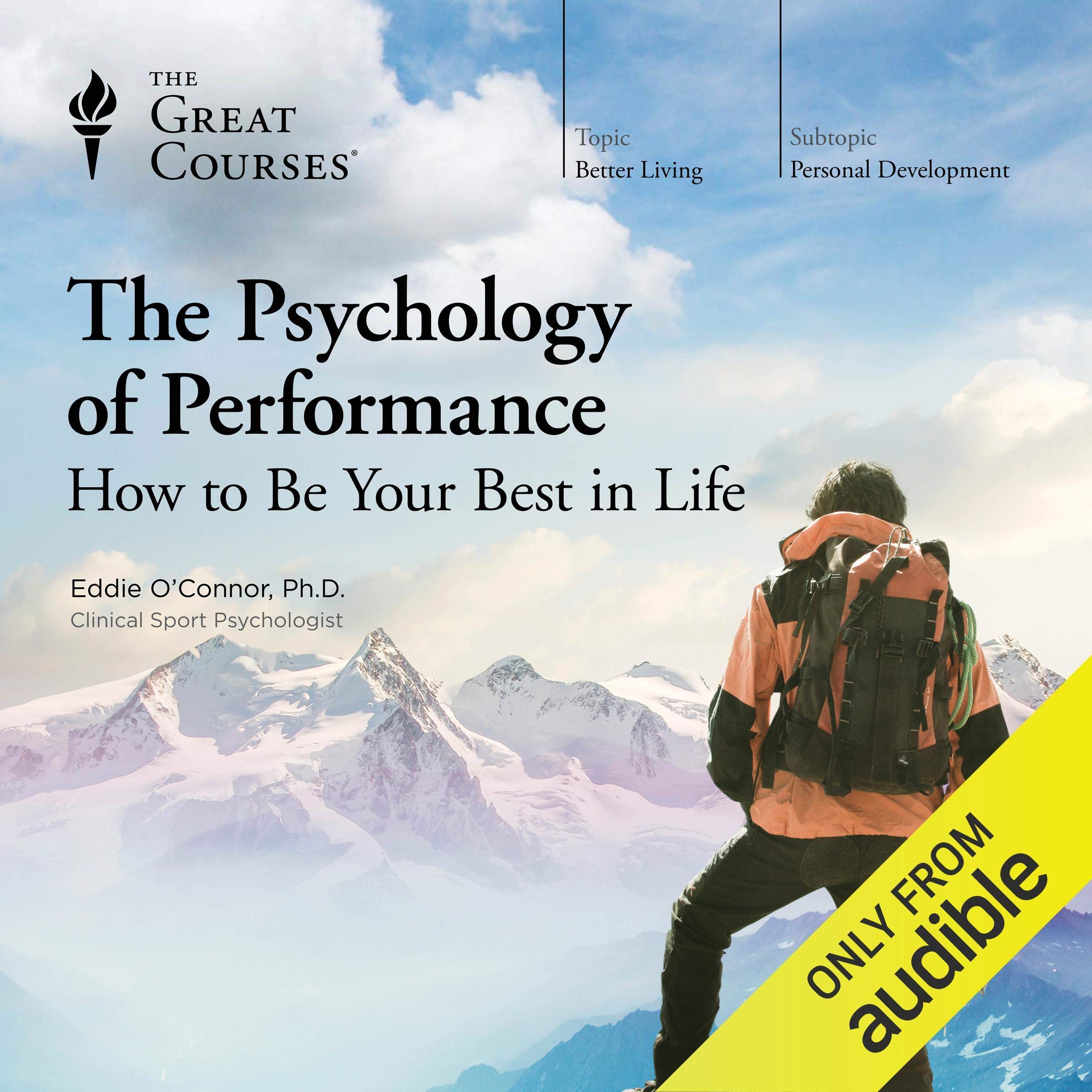 Cover art for The Psychology of Performance: How to Be Your Best in Life