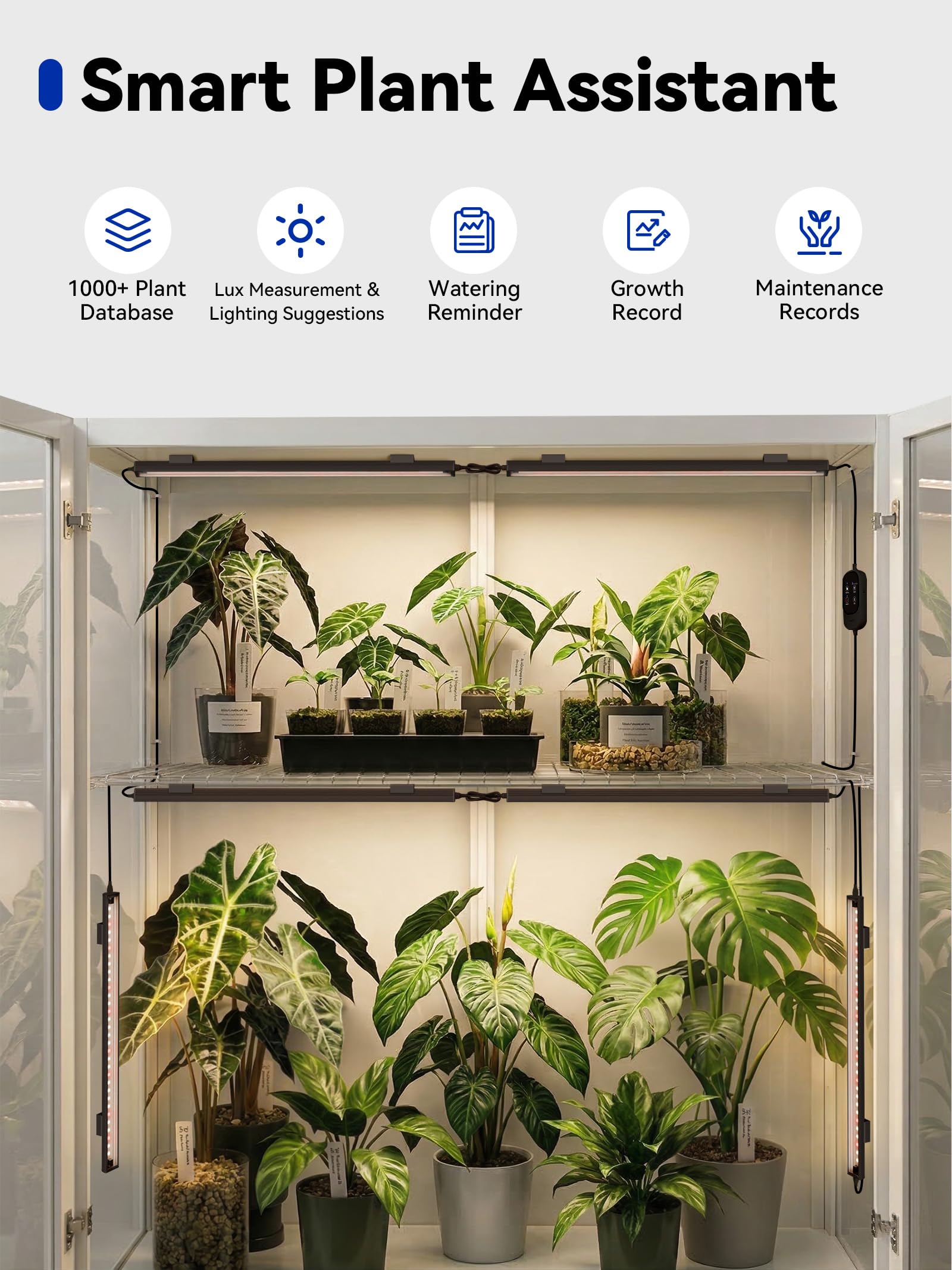 GLOWRIUM Lampes de culture pour plantes d'intérieur, barre lumineuse à DEL | Bandes lumineuses de croissance 48 W avec contrôle par application, minuterie automatique, angles de faisceau réglables pour
