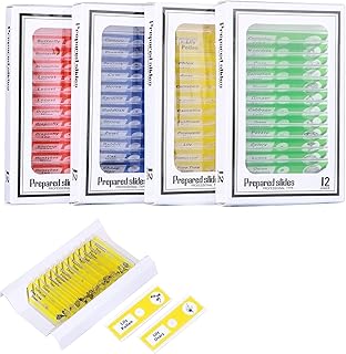 48PCS Kids Prepared Microscope Slides Animals Insects Plants Flowers Specimens Microbiology Biological Sample for Students Children Home school Science Program Education Lab Supplies