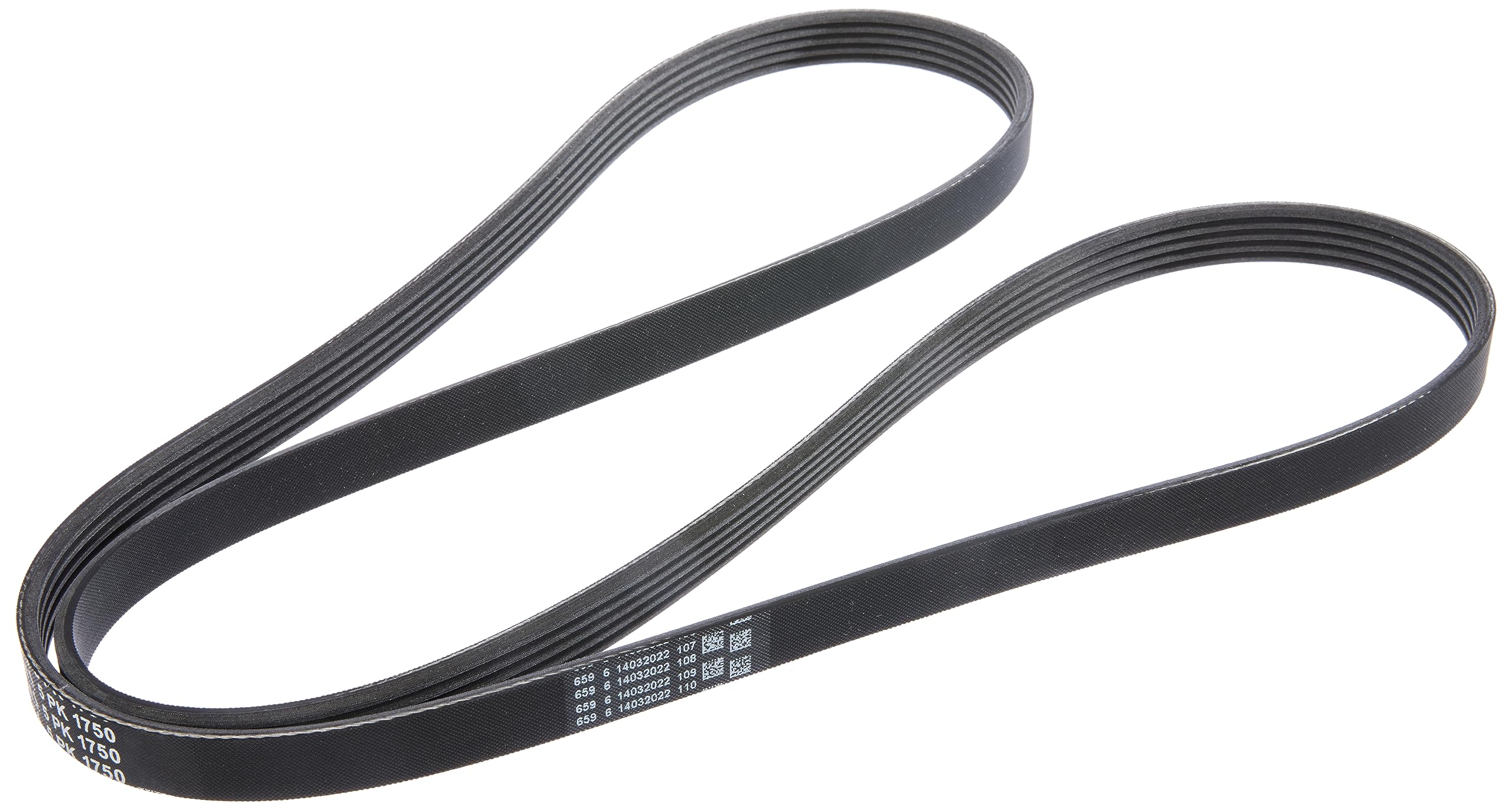 Contitech 5PK1750 V-ribbed belt.