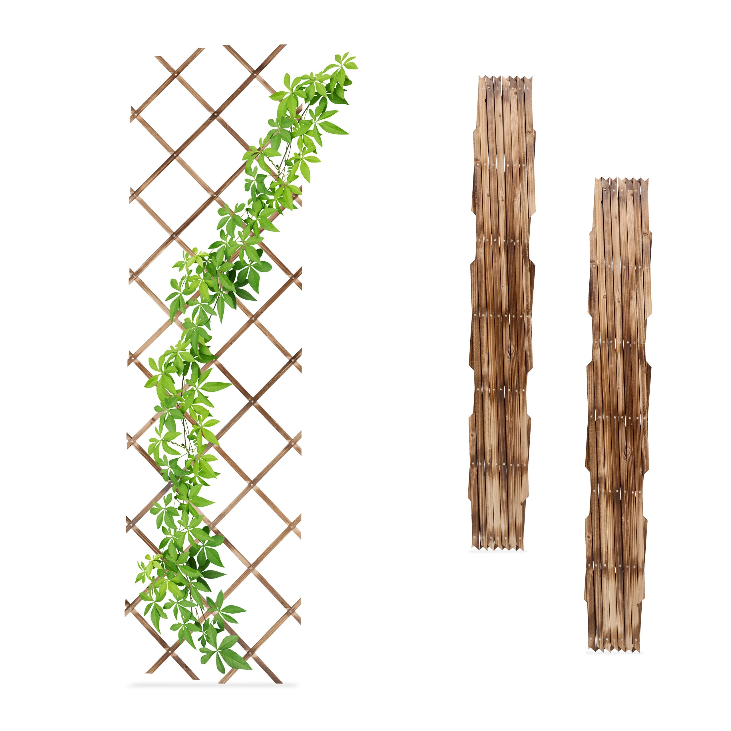 Tuteur à tomates extensible 180x60 cm en bois flambé pour tuteurer vos plantes