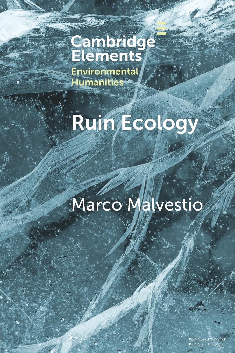 Ruin Ecology: An Exercise in Environmental Imagination (Elements in Environmental Humanities)