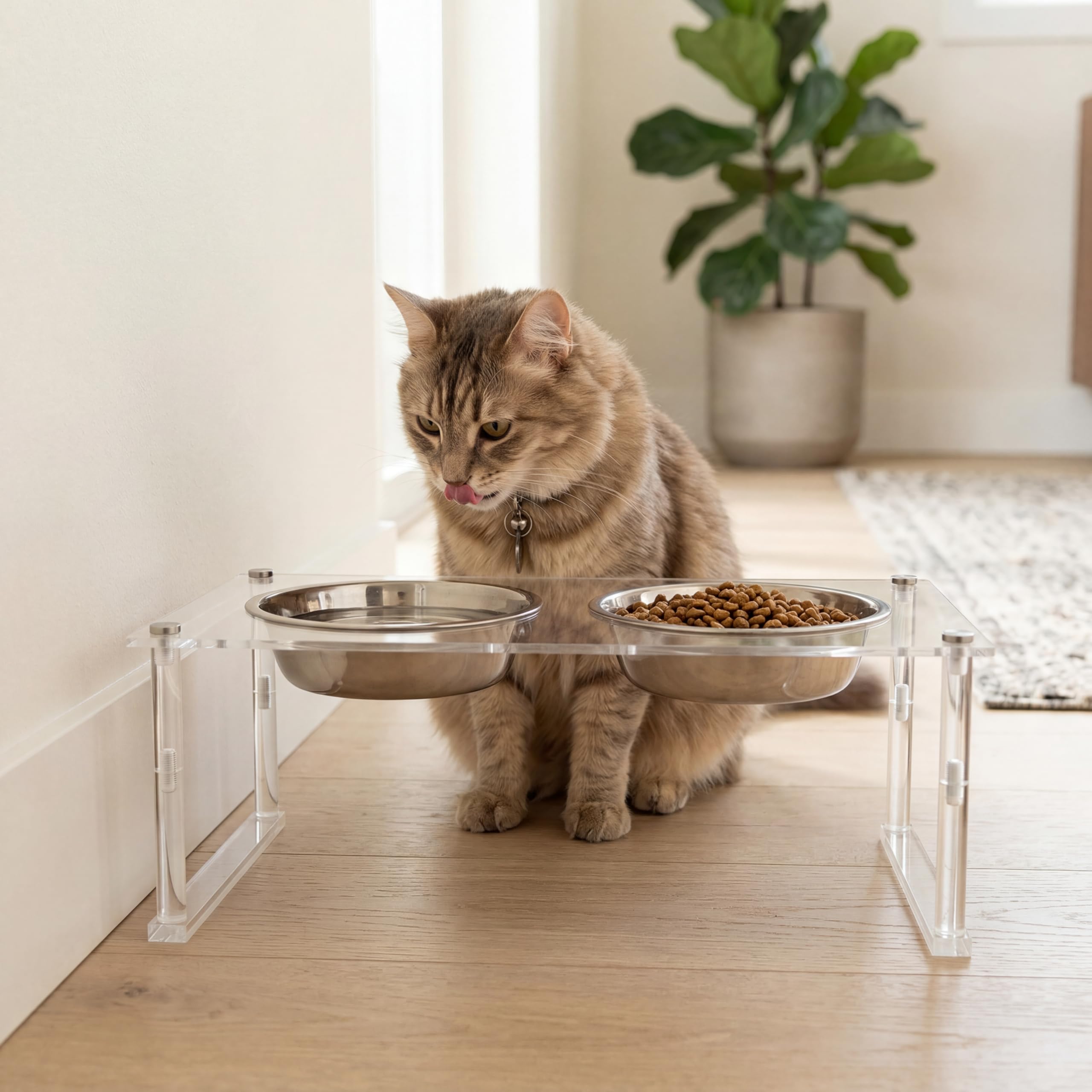 Gamelle Double Chien et Chat Surélevée - Support 4 Hauteurs Ajustables – Double Bols en Acier Inoxydable 800ML + Accessoire Anti-Glouton - Installation Facile - Design Intérieur