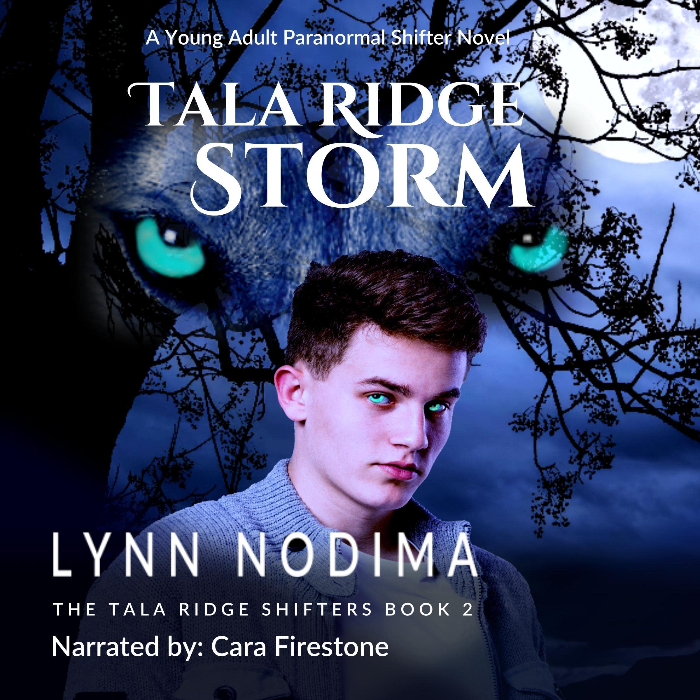 Cover art for Tala Ridge Storm
