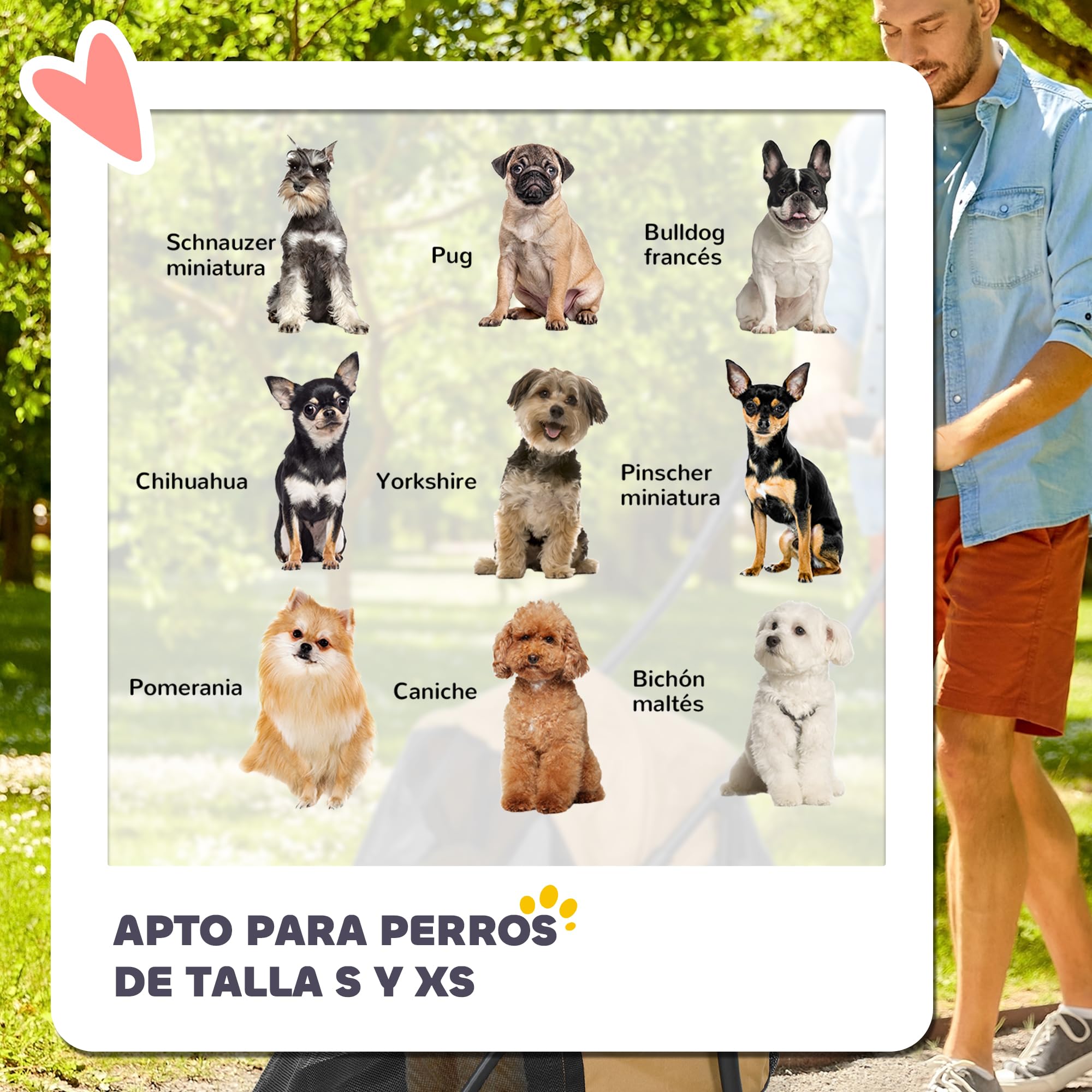 PawHut Poussette pliable pour chiens de petite taille avec fenêtres en maille, coussin lavable, sangles de sécurité et cadre en acier Charge 15 kg Café