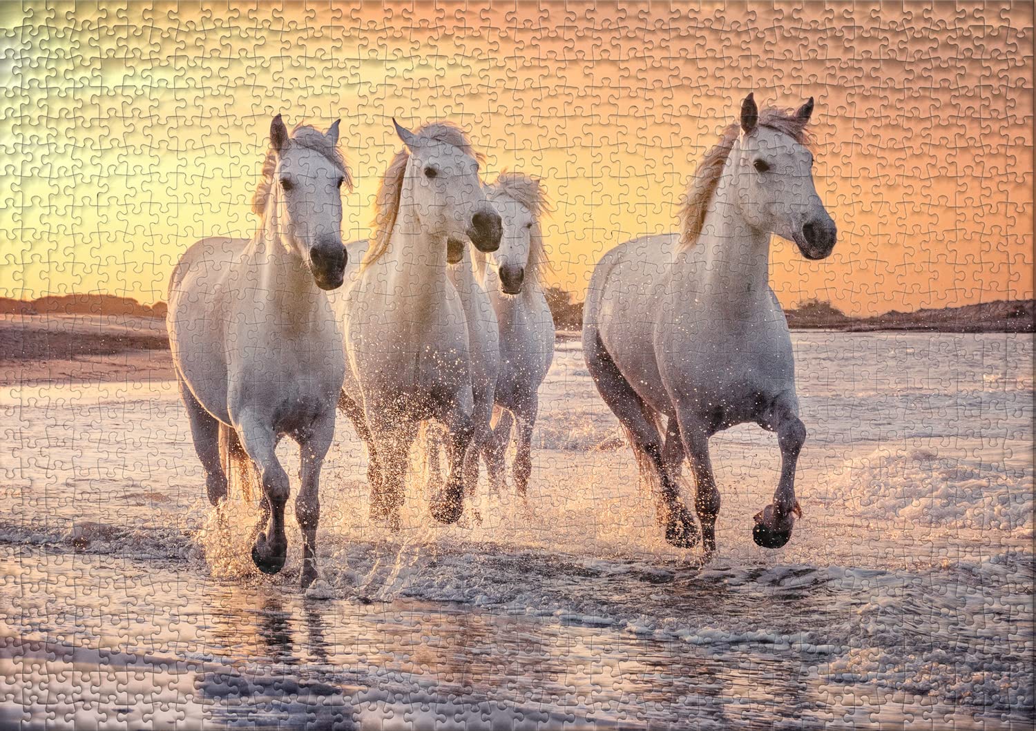 Ulmer Puzzleschmiede - Puzzle chevaux de Camargue - Puzzle animal de 2000 pièces - Le cheval blanc dans la nature en Camargue, Provence, Sud de la France
