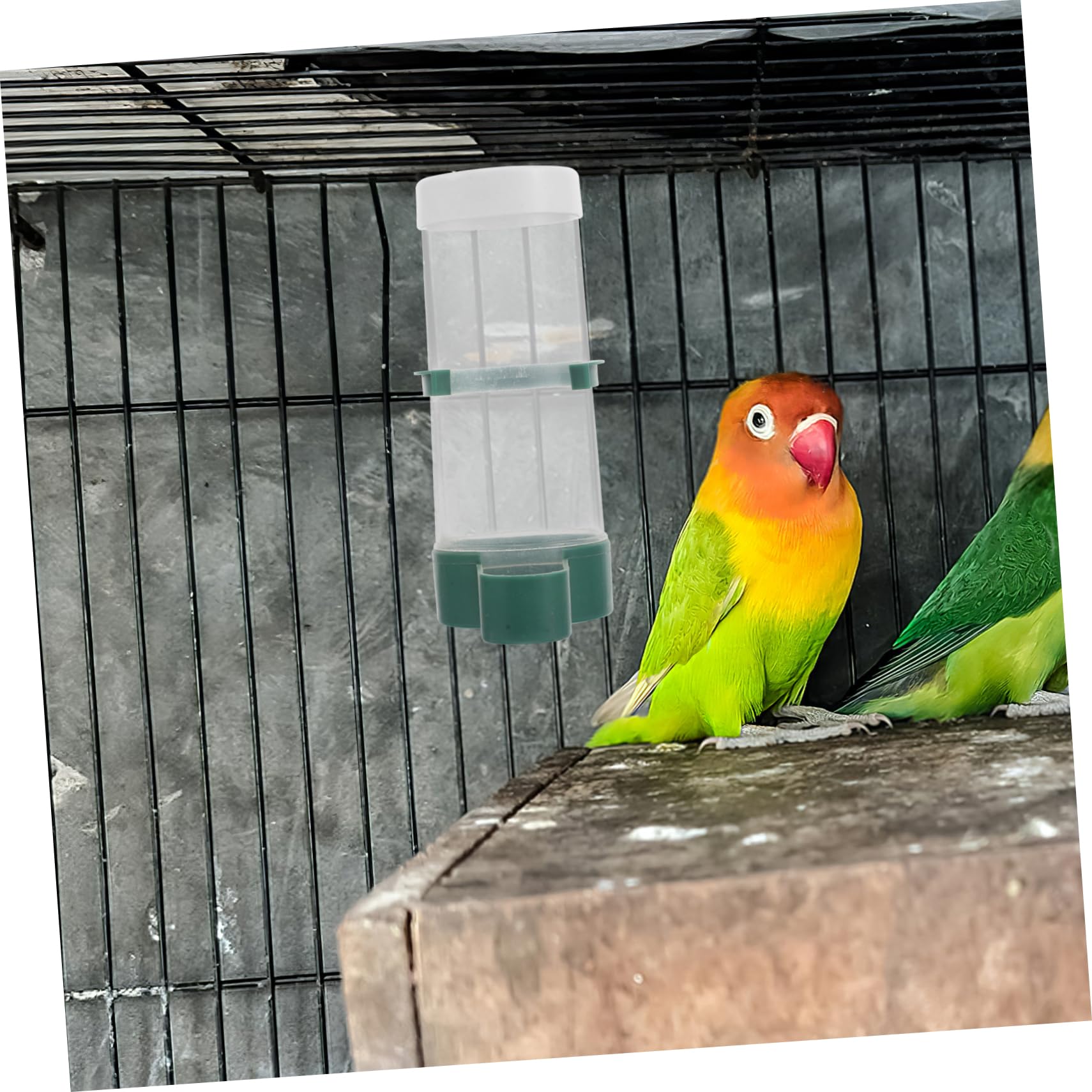 20stücke Automatischer Vogelfutterspender Wasserspender Für Vögel Für Wellensittiche Nymphensittiche Kanarienvögel Und Mit Praktischem Toploading-Design Für Einfache