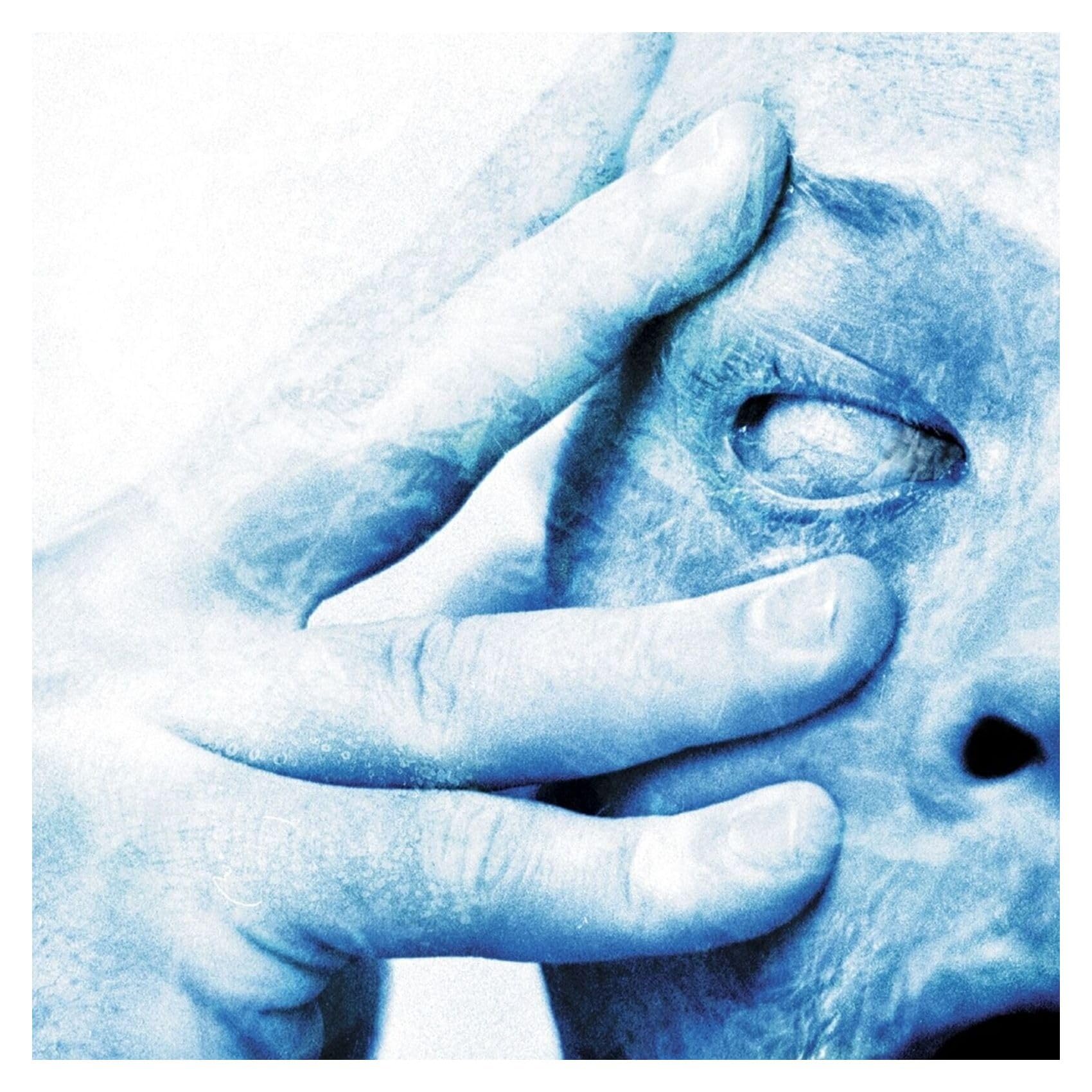 In Absentia Clear (Phd Exclusive)