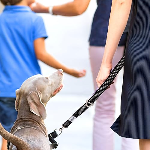Miniatura 3 de Correa para perro sin tirones, resistente, de 6 pies, con 4 asas de tráfico acolchadas de control. Clips fuertes + anillos. Ultra-reflectante. Bolsa