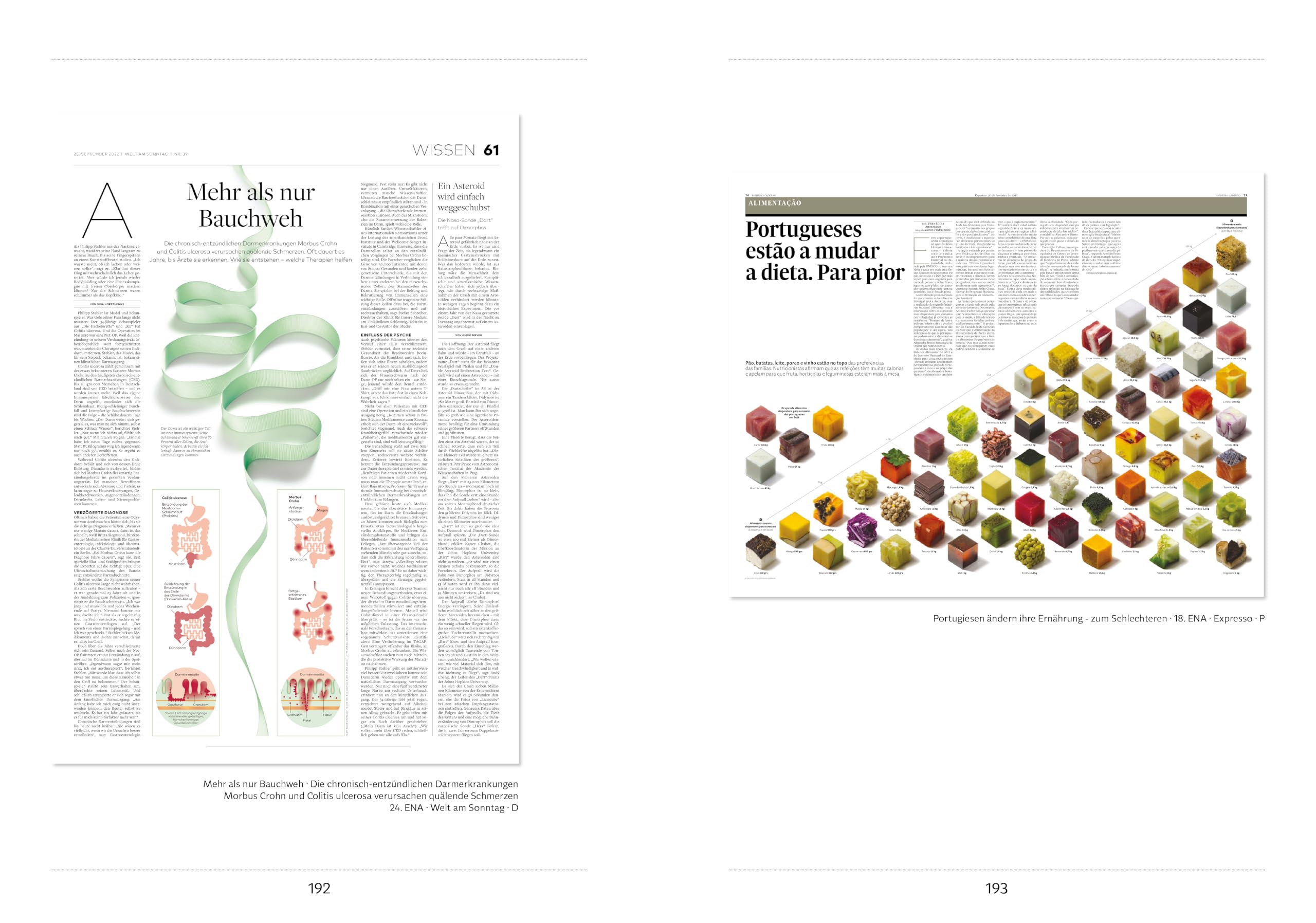 Infografik: Visueller Journalismus · Band 2 (Edition Editorial-Design)
