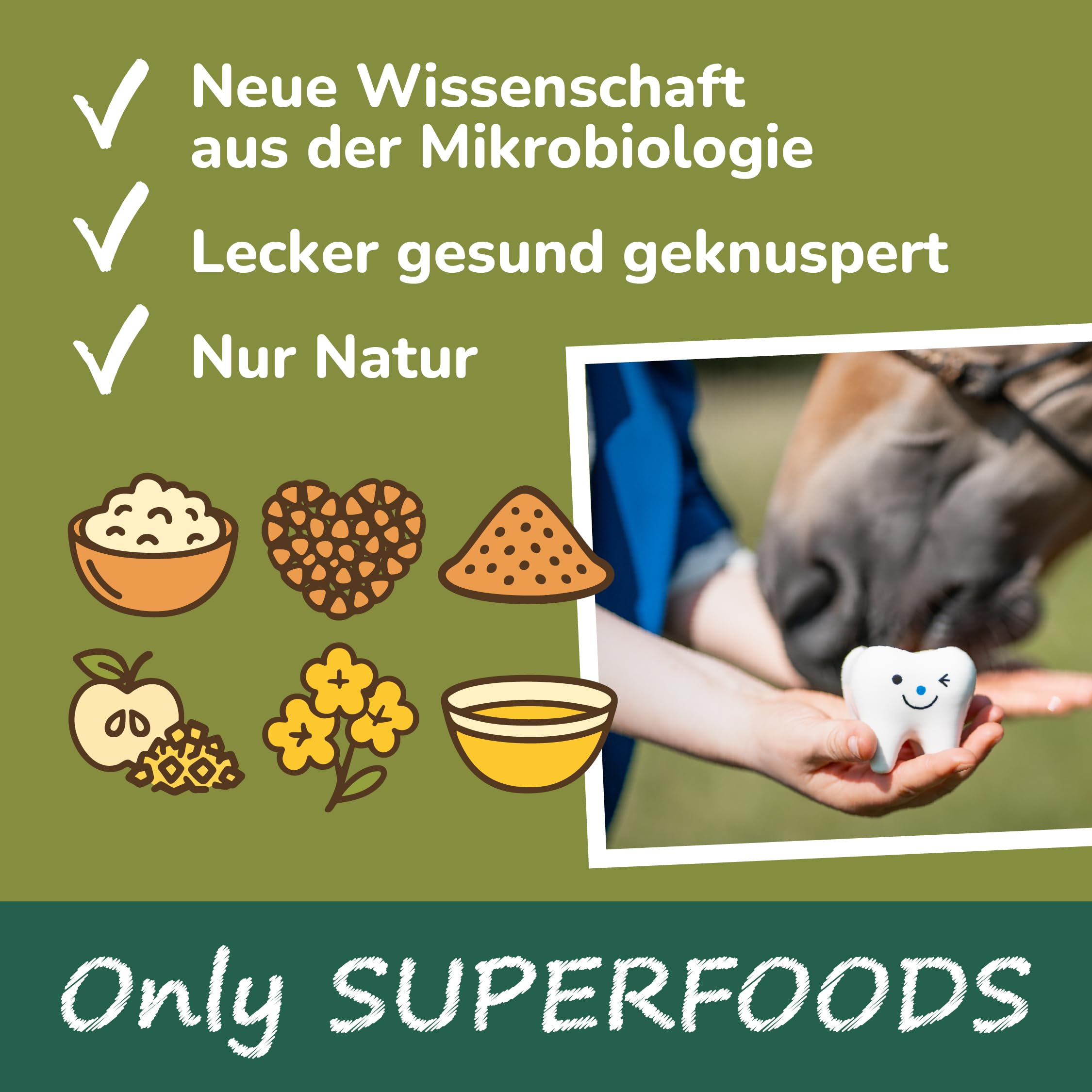 QCHEFS 8er Pack Zahnputz-Cracker Balance Pferd gegen Zahnstein Mundgeruch | Ohne Bürste, Gesunde Leckerlis gegen Zahnstein & Mundgeruch, Tägliche Zahnreinigung