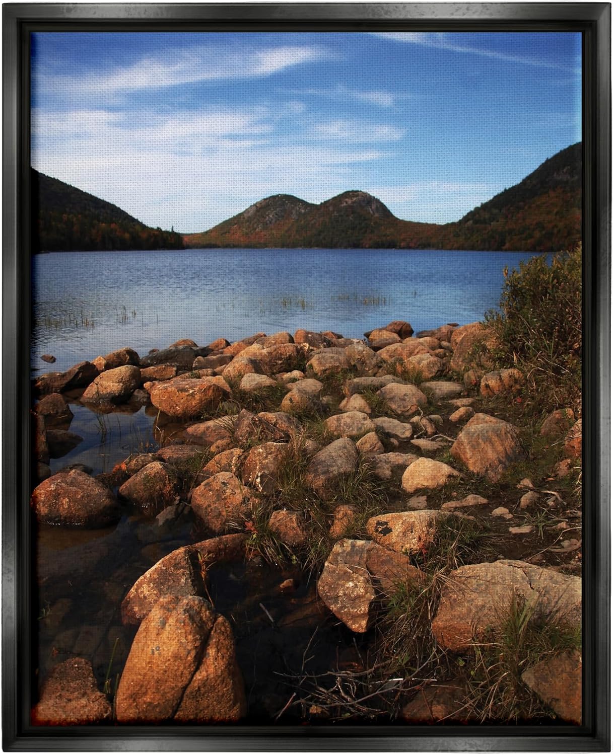 Stupell Industries Acadia Pond Photography Framed Floater Canvas Wall Art by Joseph Elliott
