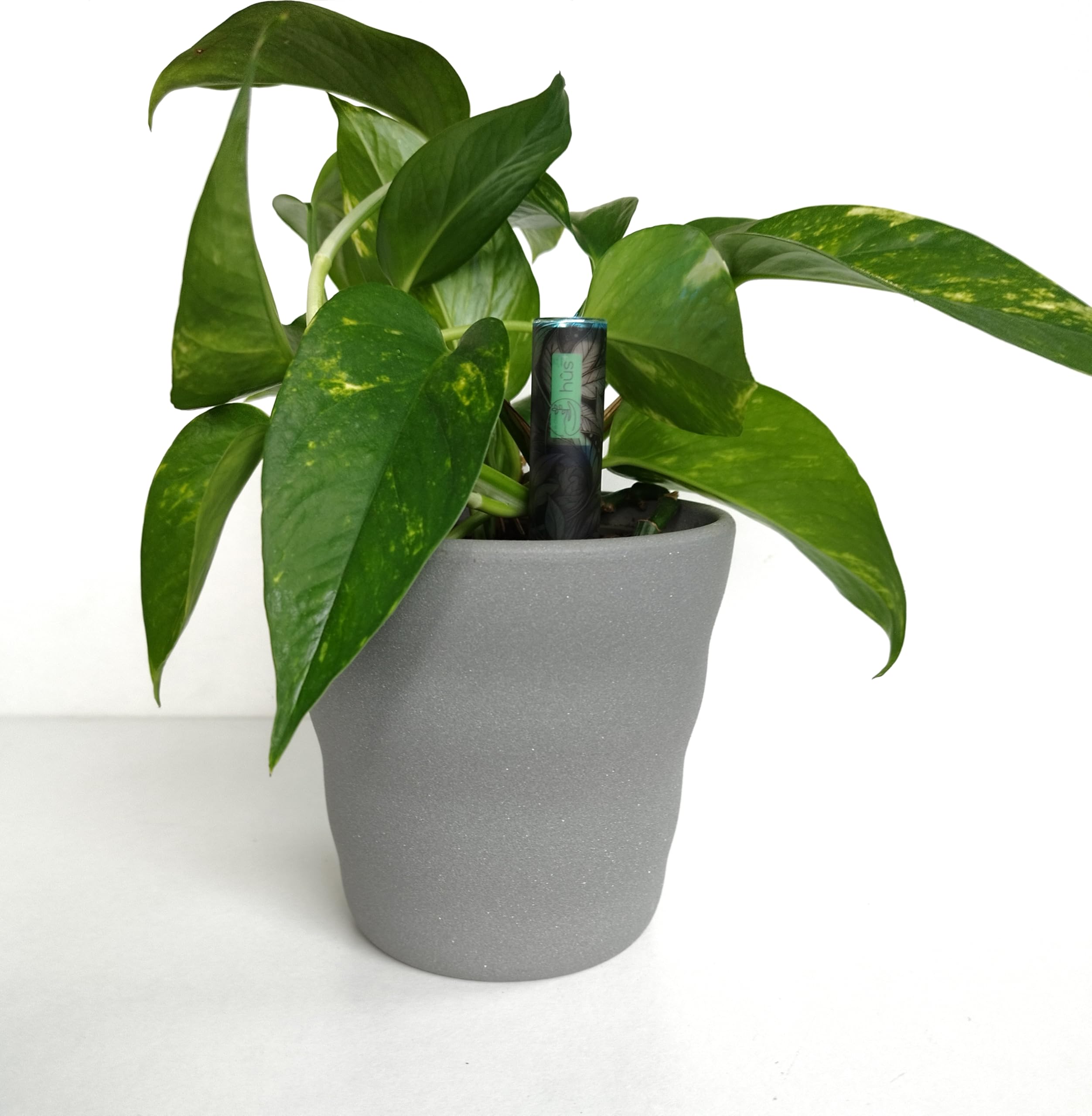 Flower smart 【 A Babysitter for Your Plants 】 Smart WiFi Pflanzensensor Gießanzeiger Feuchtigkeitsmesser für Pflanzen - Bodentester Wasserdicht WLAN Sensor digital (6, Botanical Black)