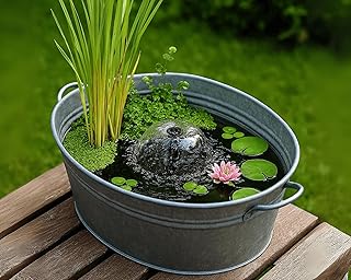 Garnelio Miniteich Pflanzen Set - Seerose Nymphaea Sulphurea vorgezogen in Kokosfaser - 3 Schwimmpflanzen - Seerosen-Dünger 25 Kapseln - Perfekt für Zinkwanne & Kübel - Pinke Seerose
