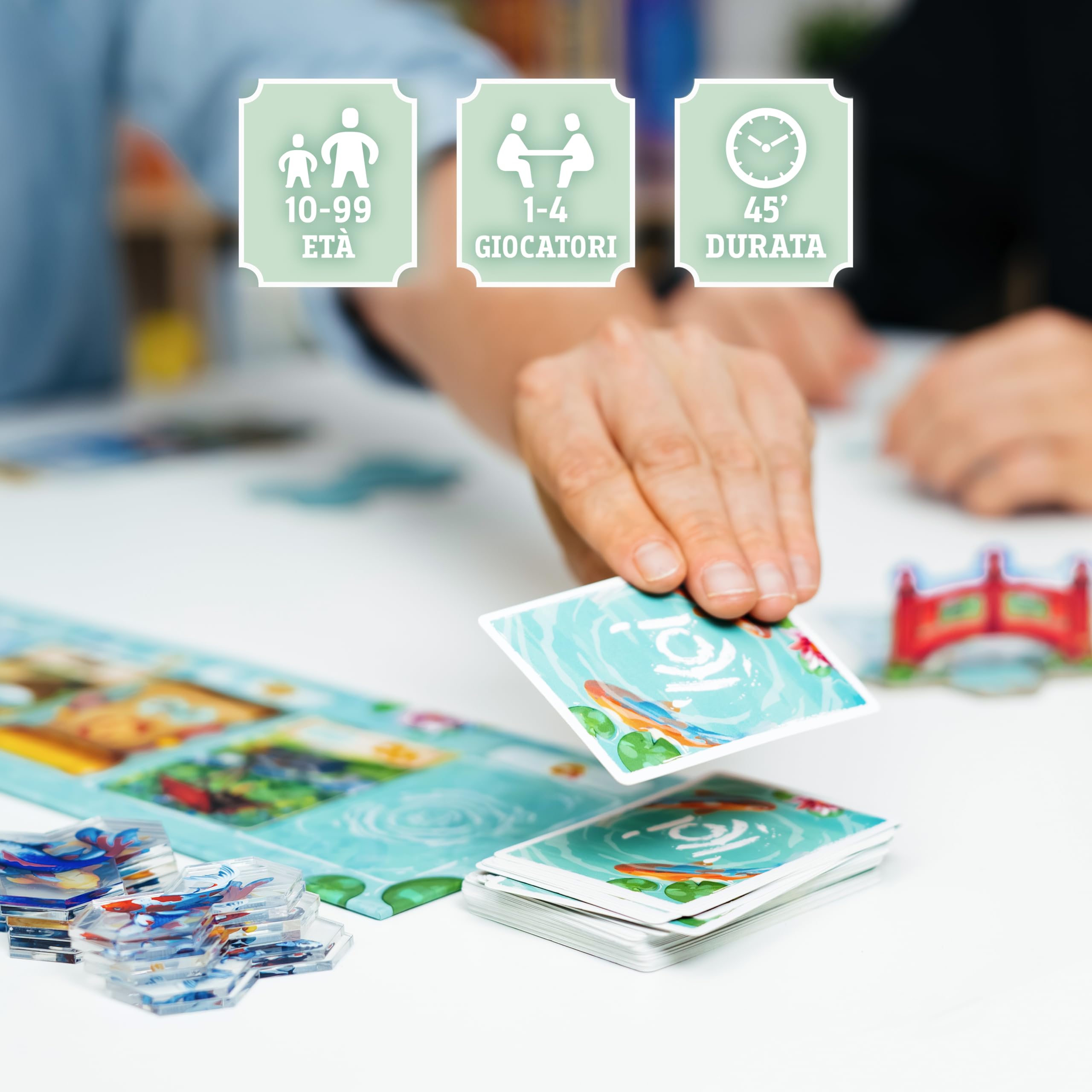 Merchandising Dv Giochi: Koi