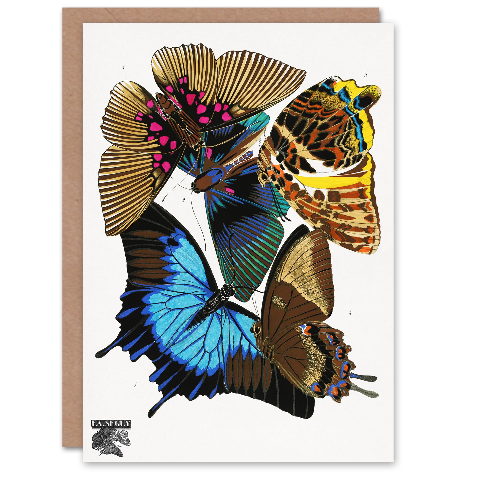 Artery8 Eugene Seguy Art Card Colourful Vintage Butterflies