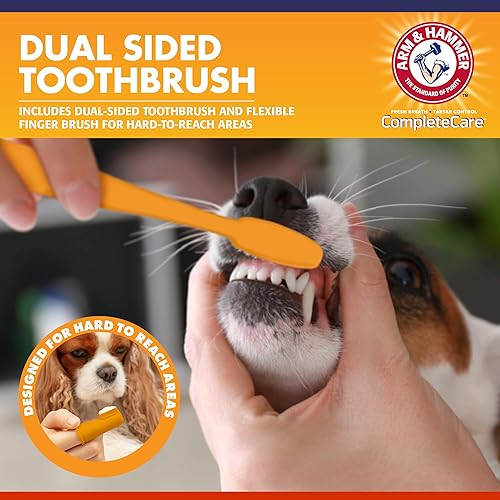 Vista 3 de Arm & Hammer Complete Care - Kit dental para perros, pasta de dientes enzimática para perros con sabor a pollo, cepillo de dientes y cepillo