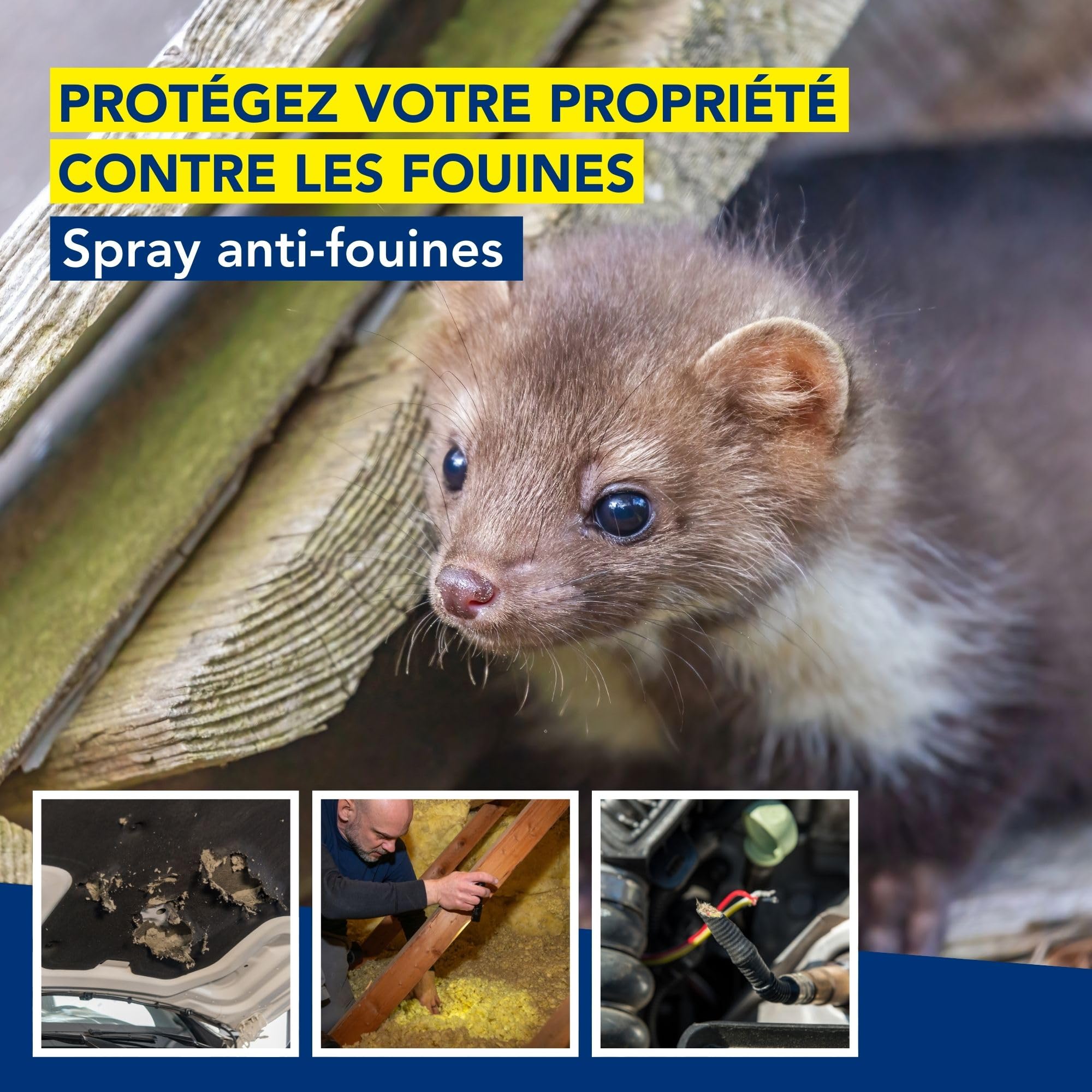 Edialux Spray répulsif anti fouines et martres 500ml, protection pour voiture, grenier et garage, répulsif écologique, application facile avec bouteille 360°