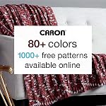 Caron CAR Fils de marbre Jumbo Ombre Carrara - 2 Boîte de 340g/12 oz - 100% Acrylique - #4 Pire (moyen) - 595 Jarrets - Tricot/Crochet