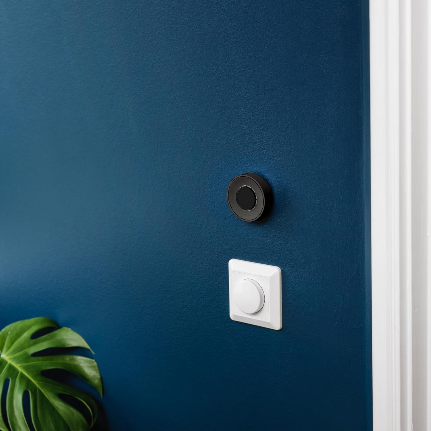 The Flic Twist controller mounted on a blue wall, positioned above a standard white light switch.