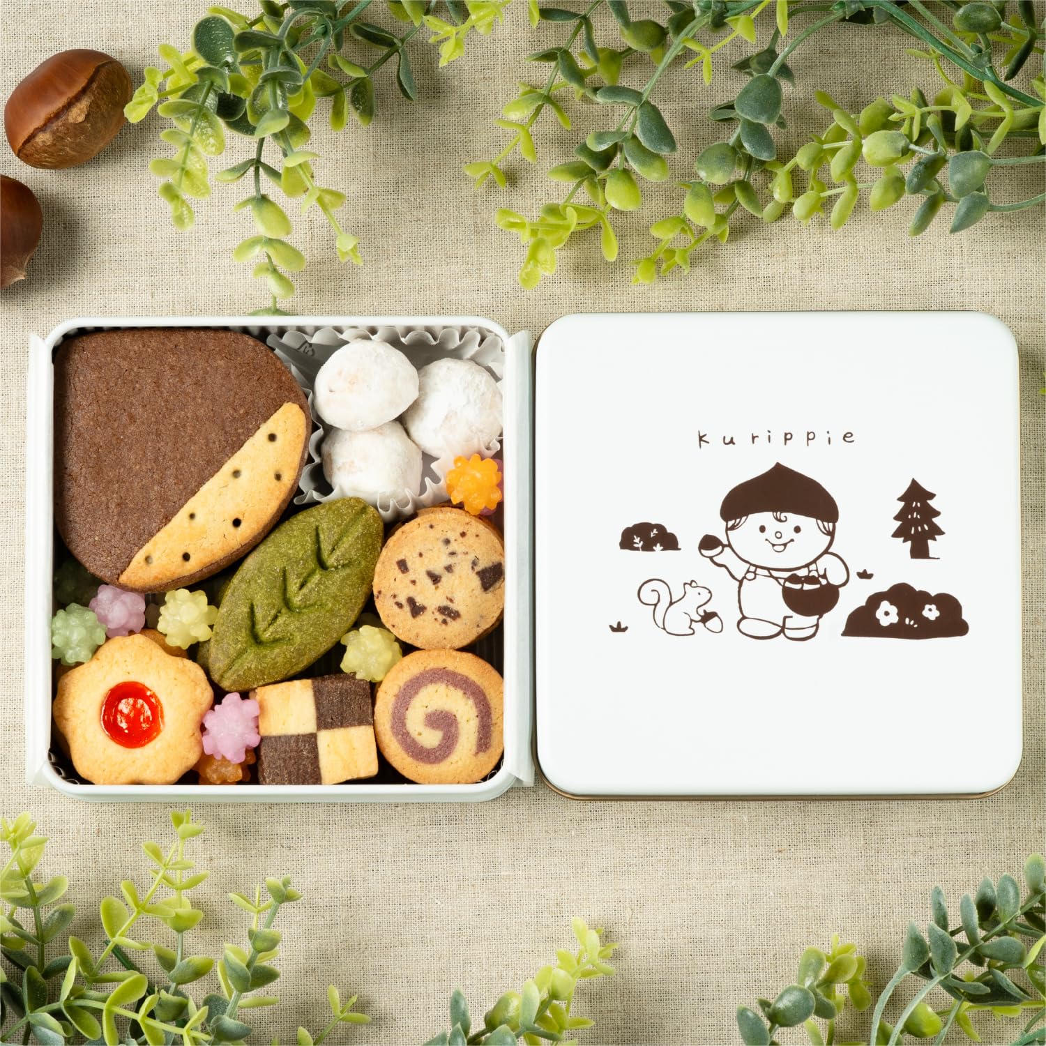 Chestnut Candy Forest Cookie Cin, Sweets, Candy, Gift, Luxury Cookies, Assorted, Fashionable, Birthday, Present, Cute, Congratulations, Valentine's Day